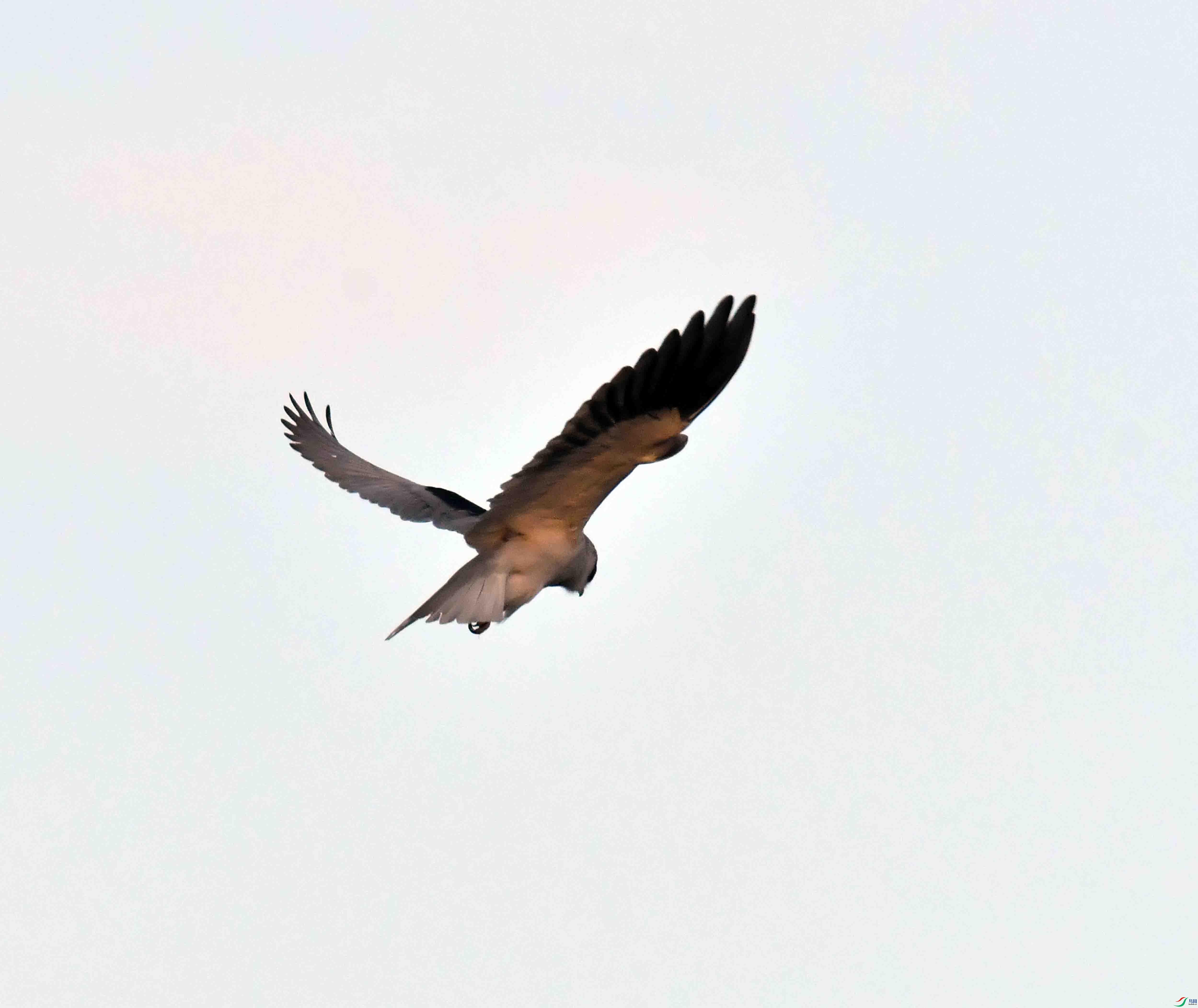 DSC_8880.JPG