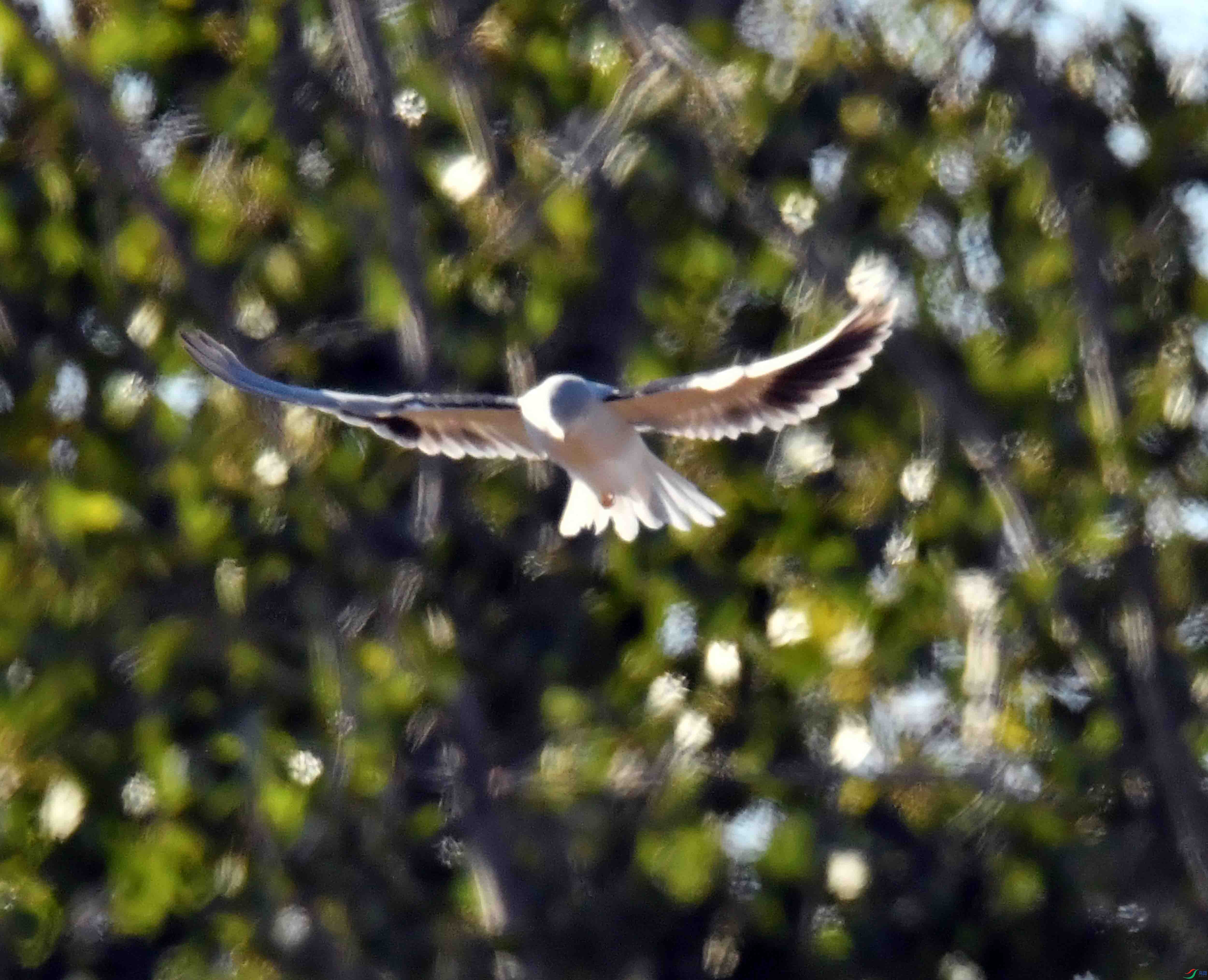 DSC_9449.JPG
