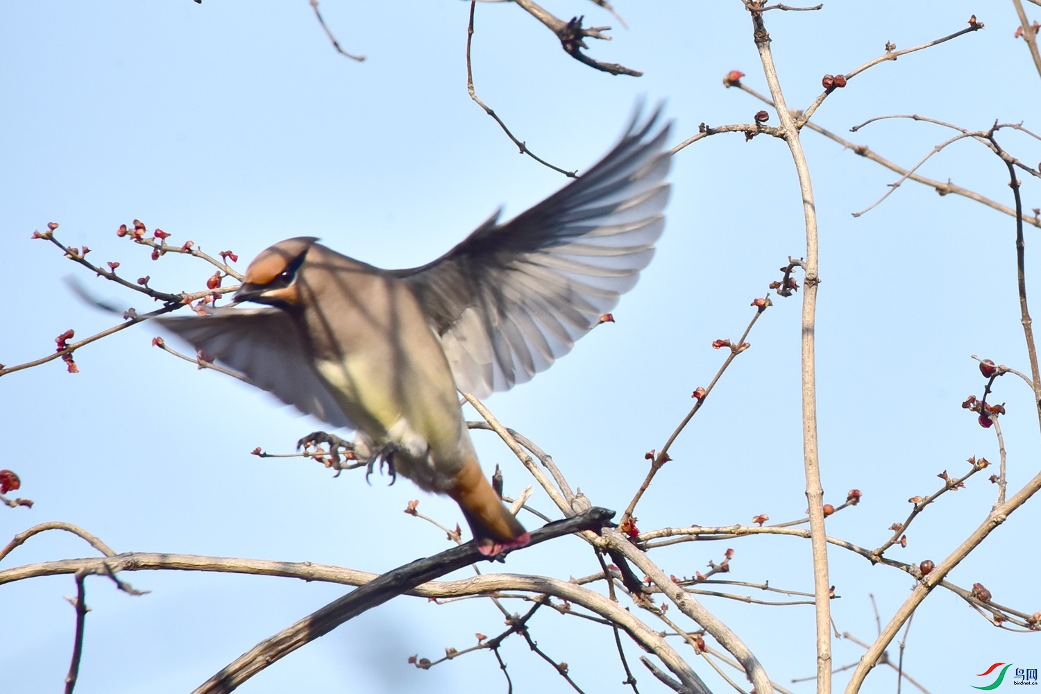 DSC_5880.JPG
