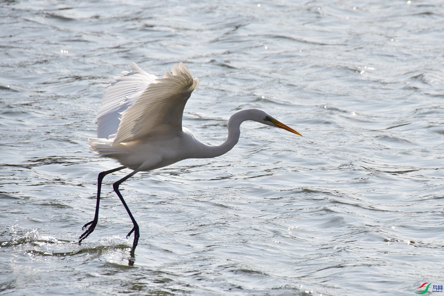 DSC_6084.JPG