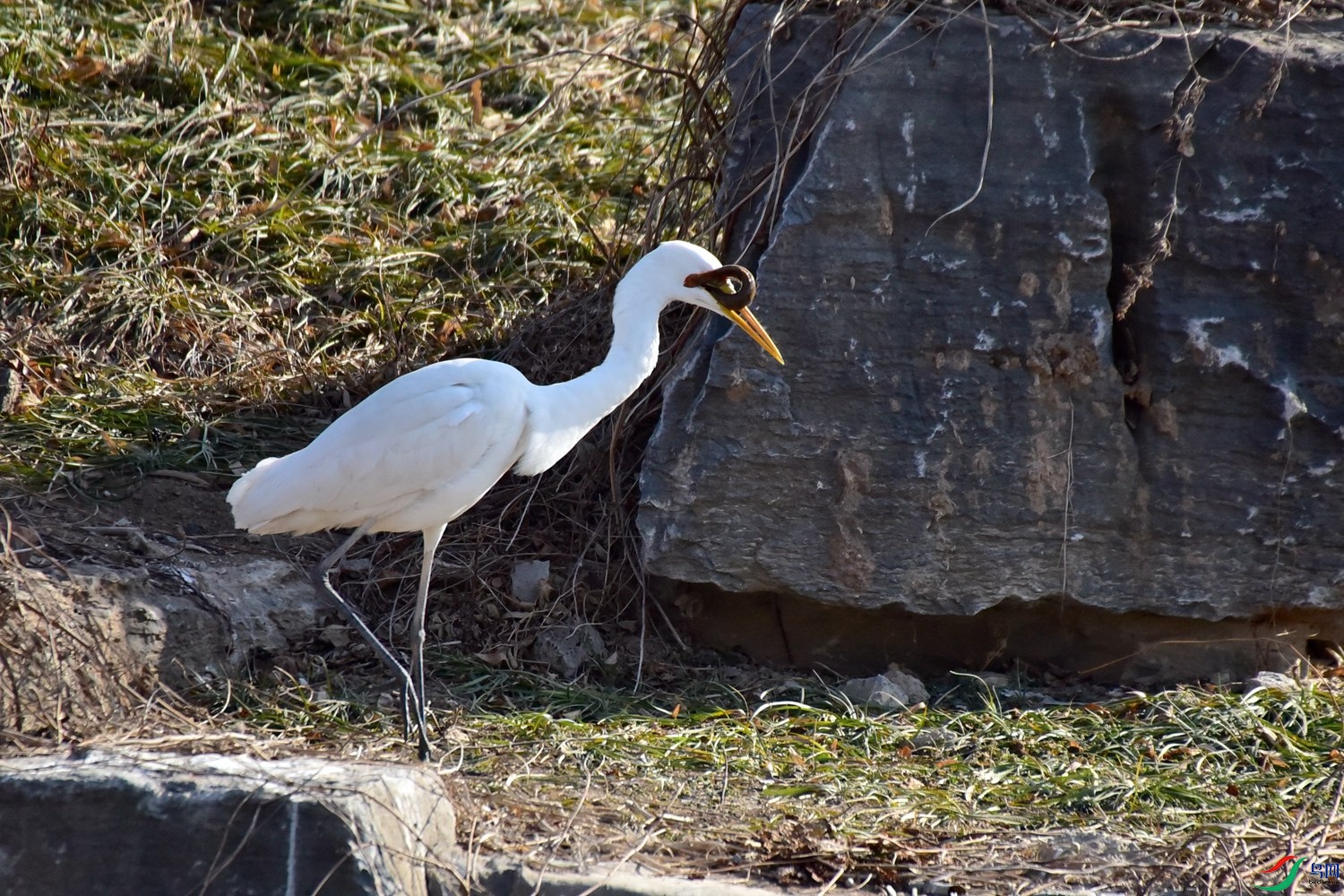 DSC_6183.JPG