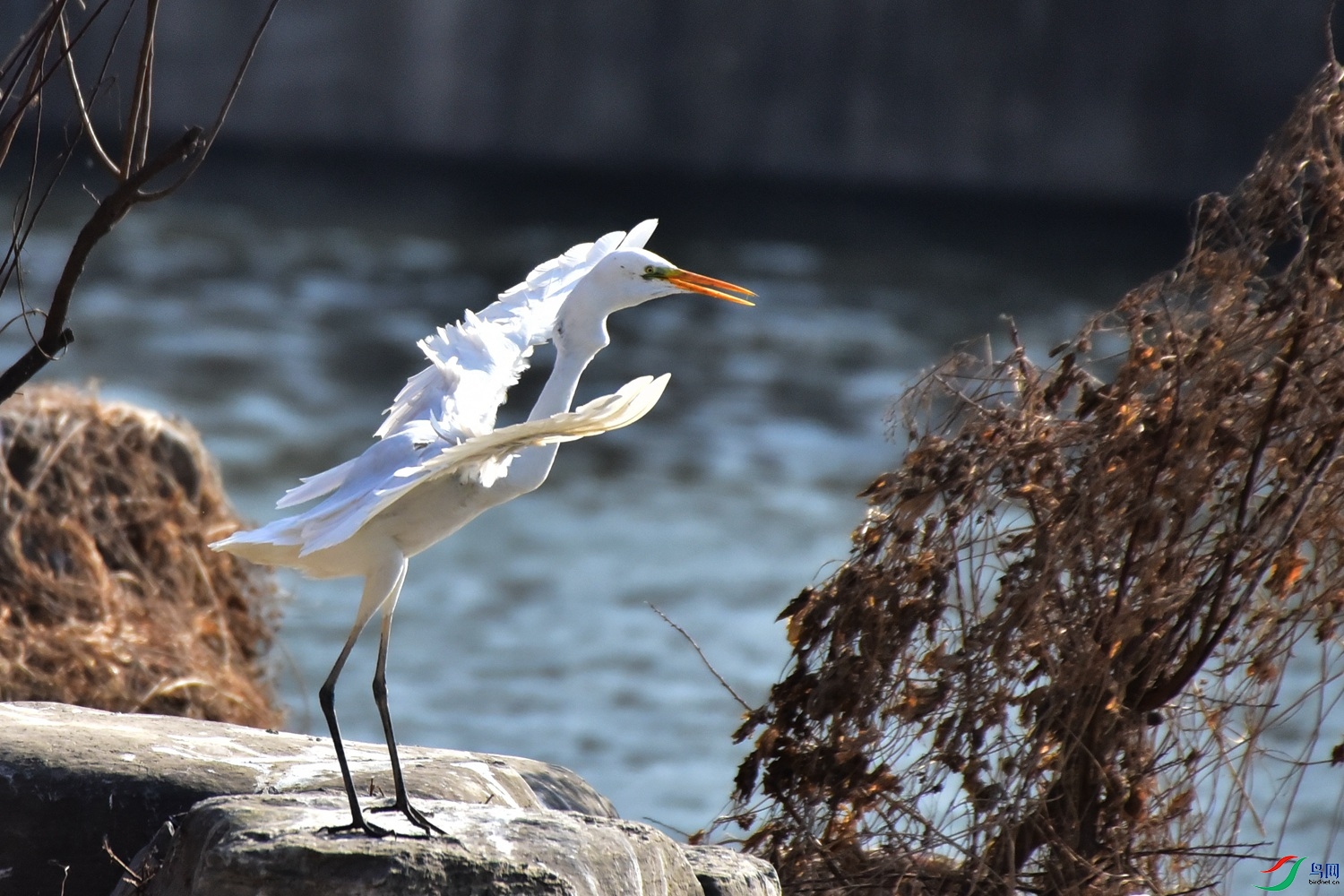 DSC_6196.JPG
