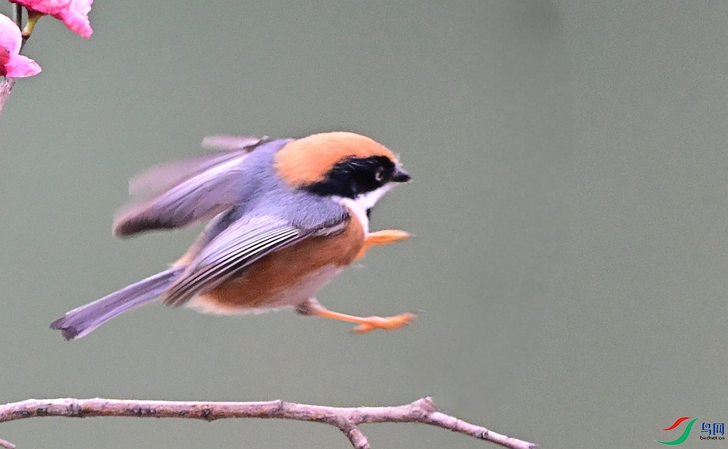 DSC_1390 - ����.JPG