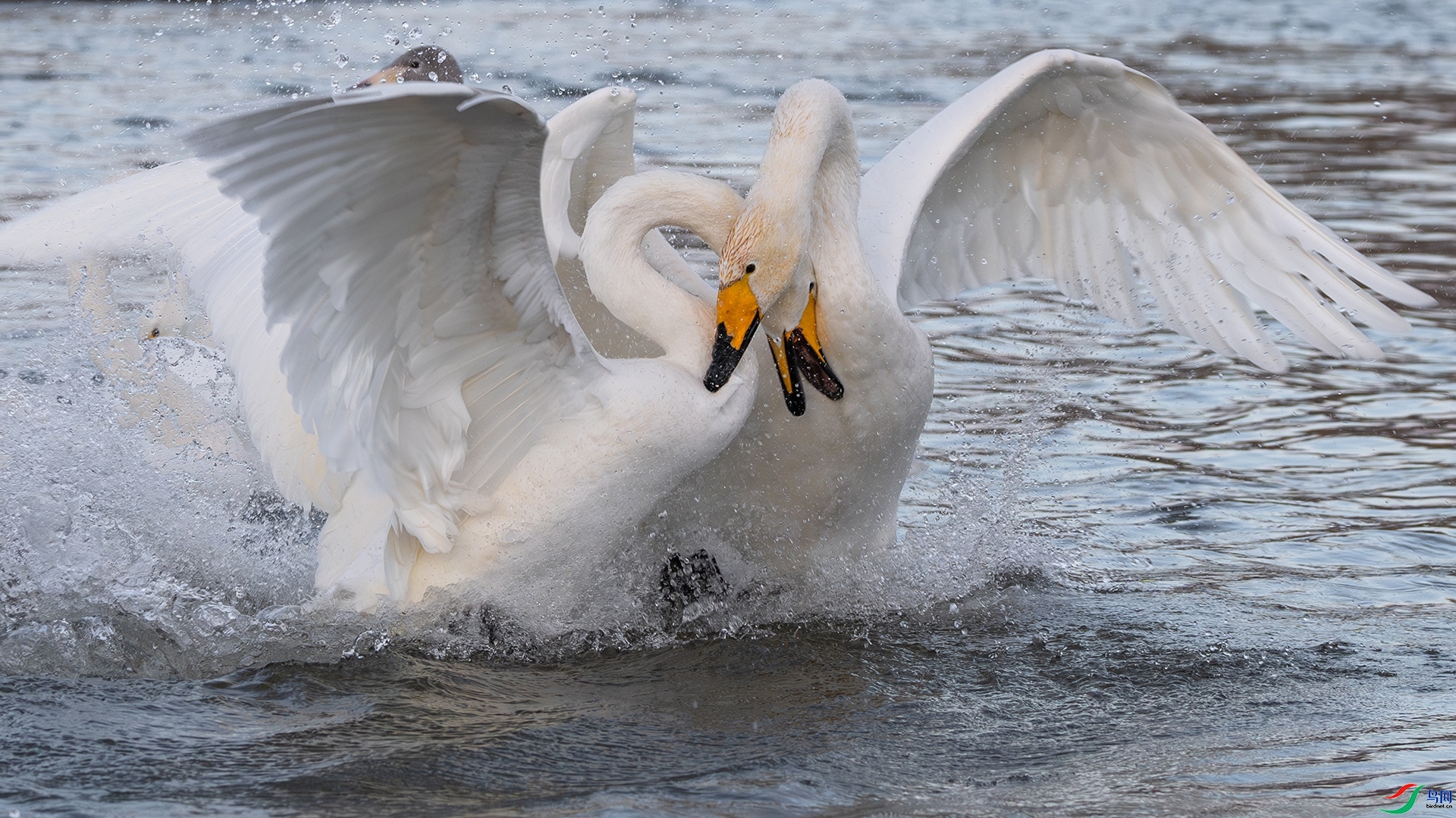 ���� ���� �ϫ  ��һ.jpg