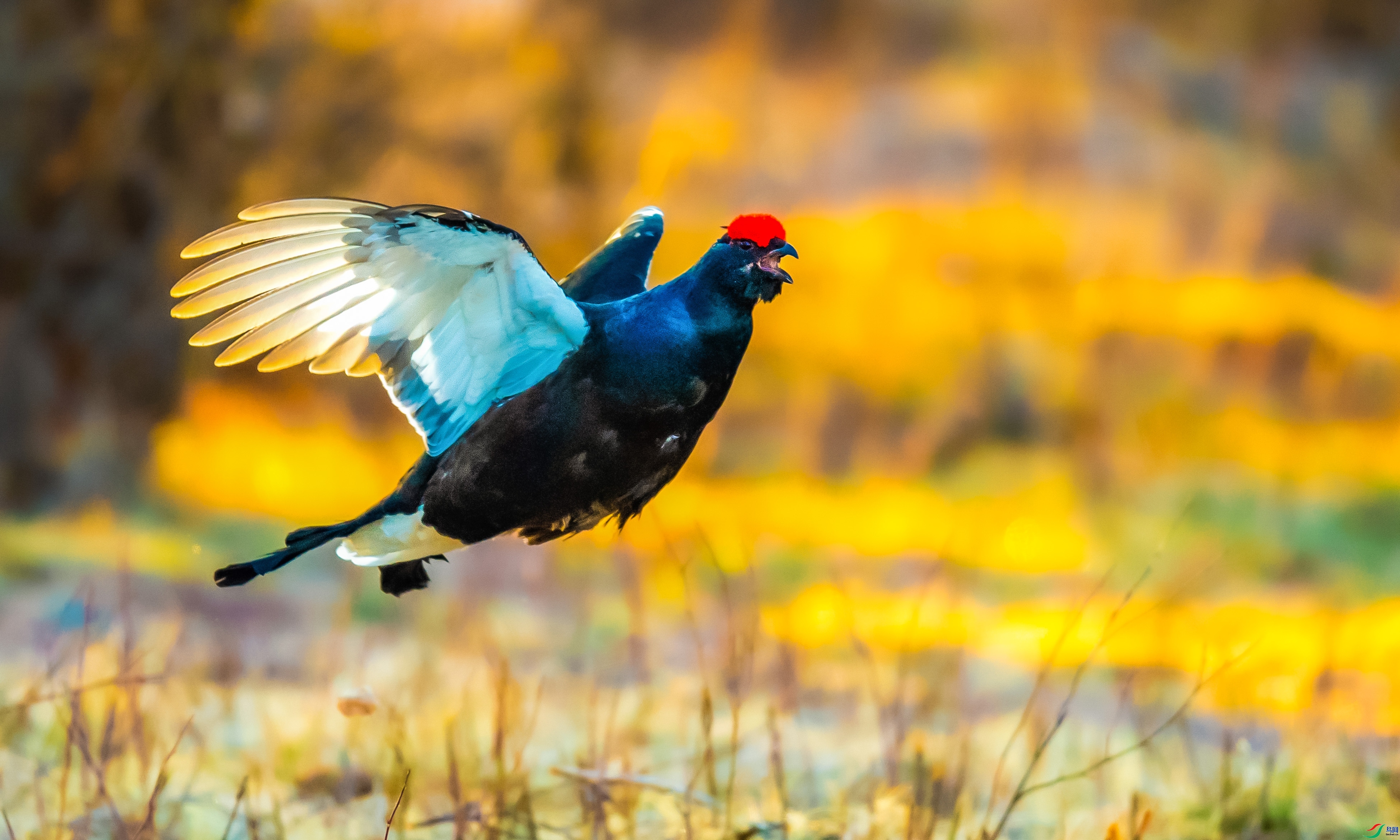 ����  ���� ��������bj  ����.jpg