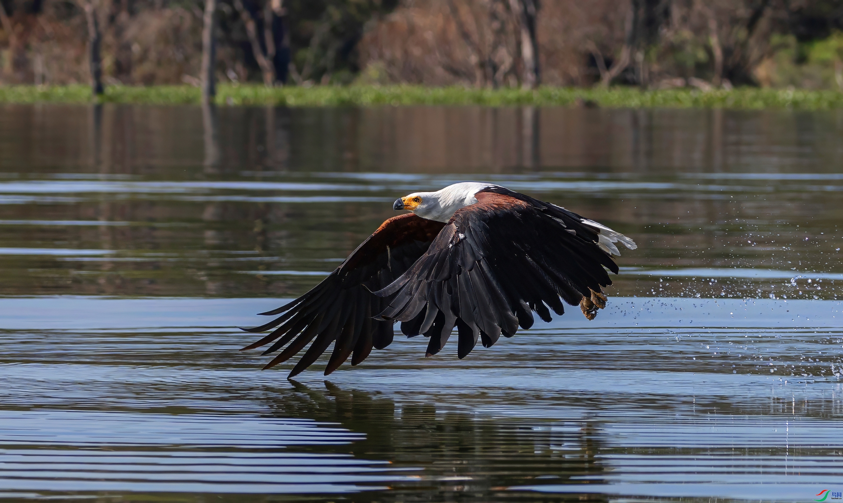 ���޺��� ���� �ܷ� ����.jpeg