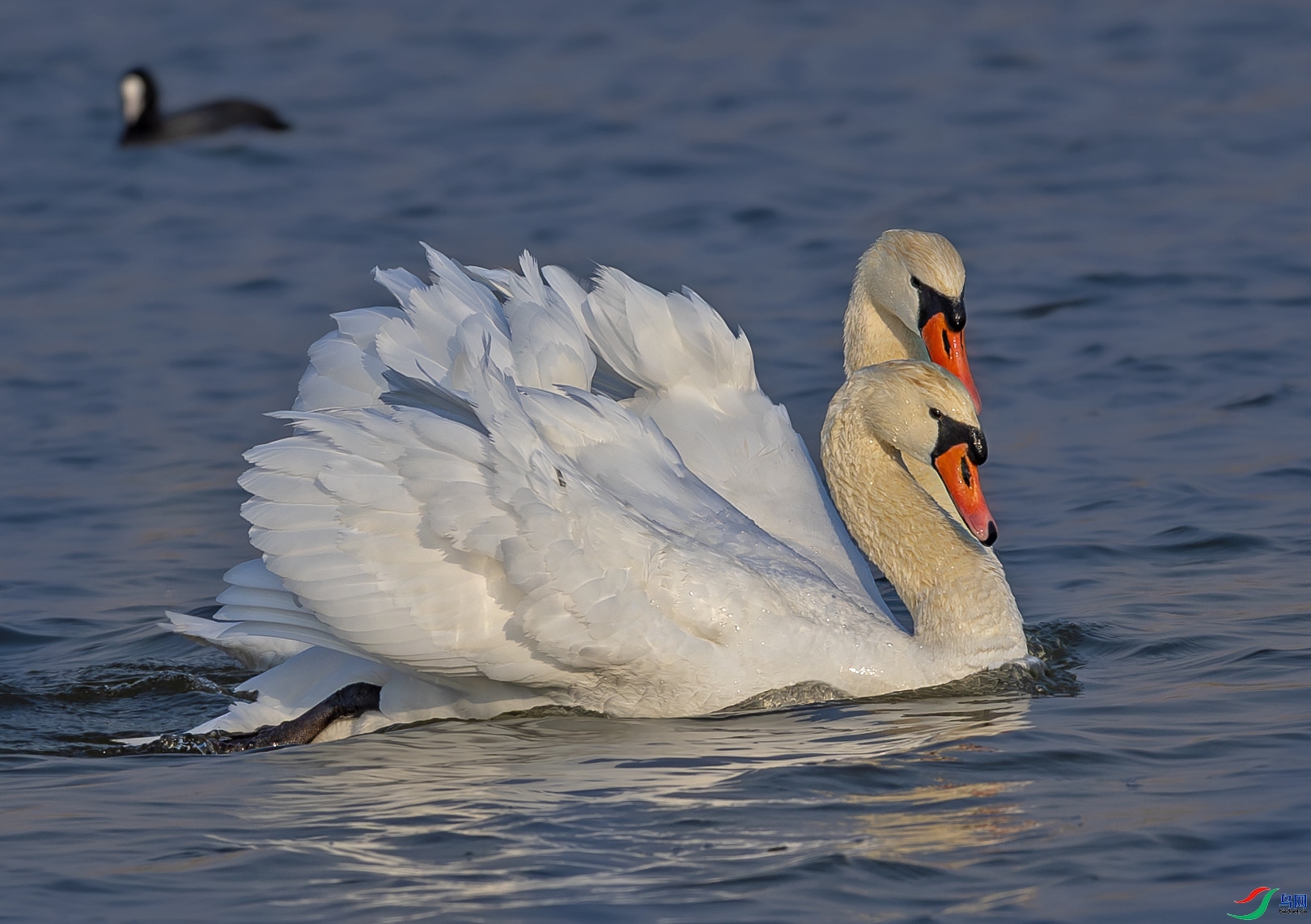 �������� ���� �羰�� ����.jpg