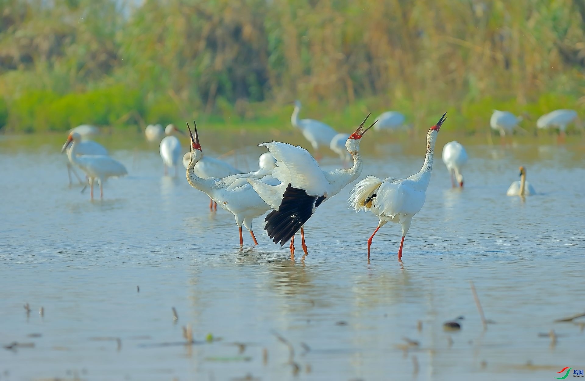 �糿�İ׺�  ���� 8341  ����.jpg