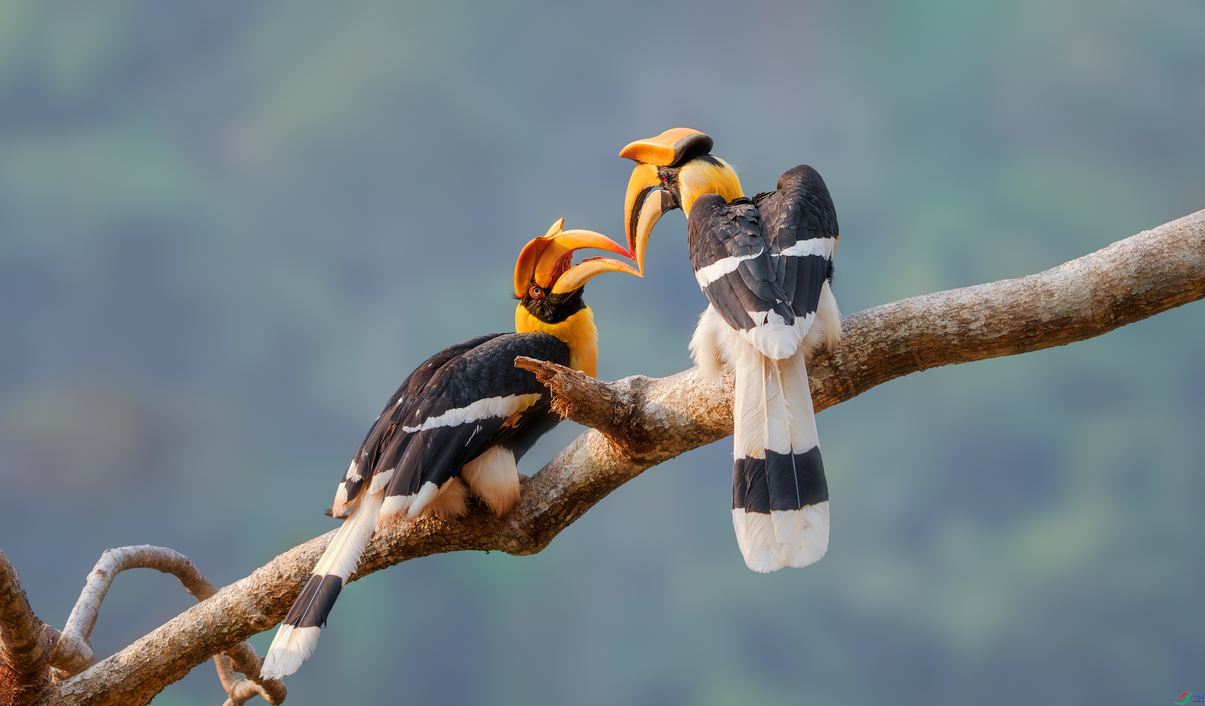 ���� ���� С�׺� ����.jpg