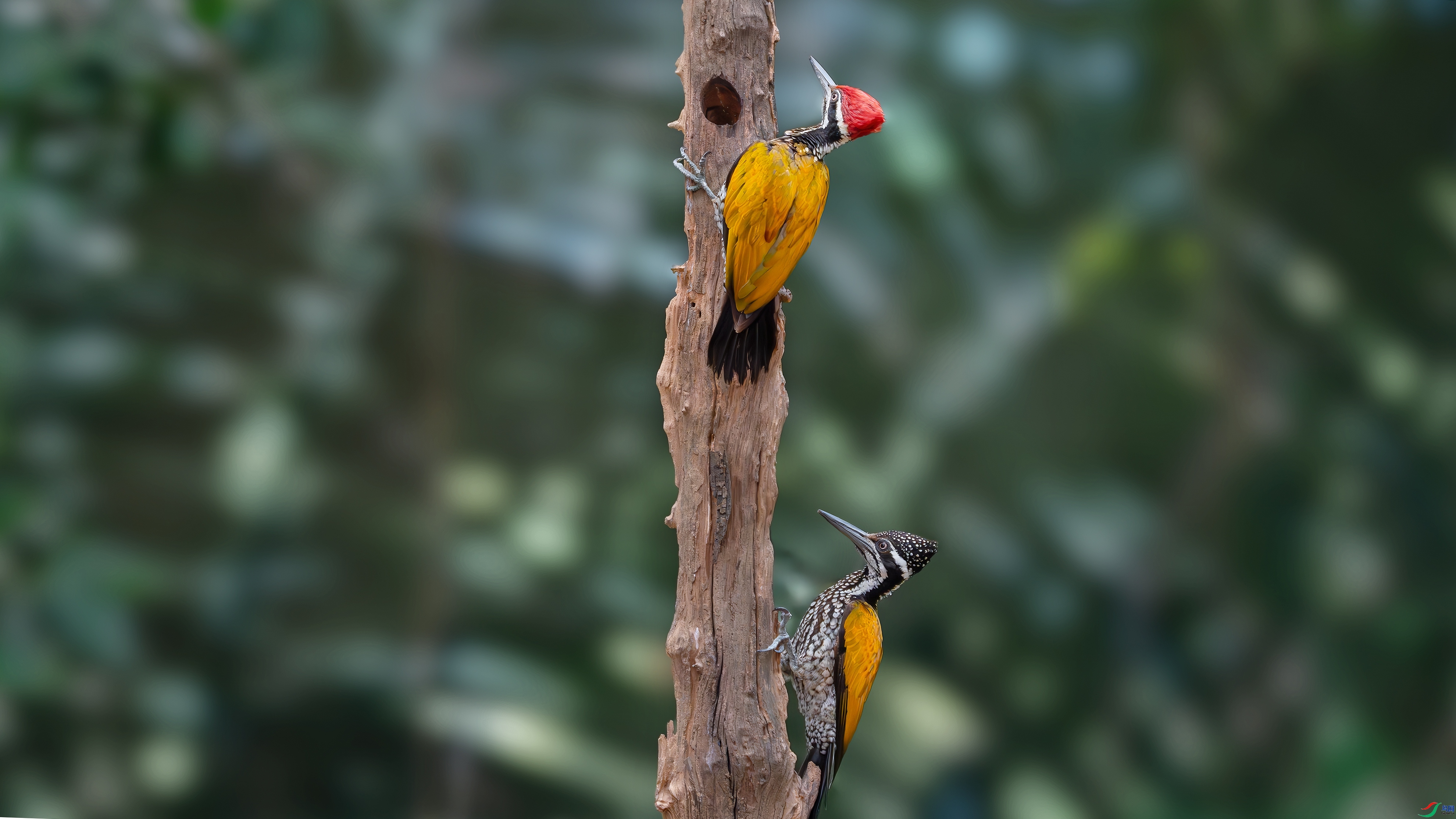 ����ͬ��Ĵ����ľ��  ���� С�׺� ����.jpg