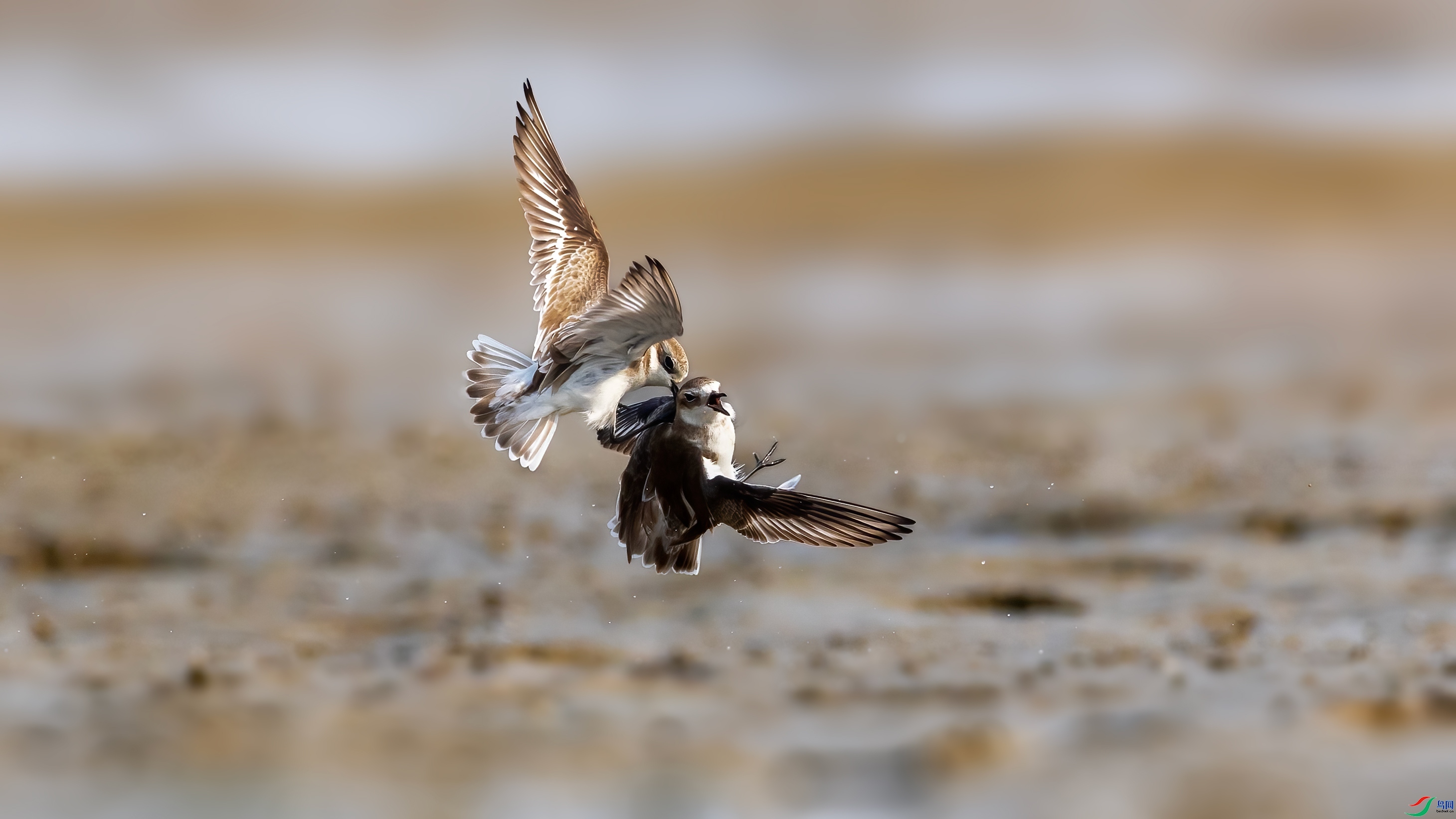 ����  ���� ��־���� ����.jpg