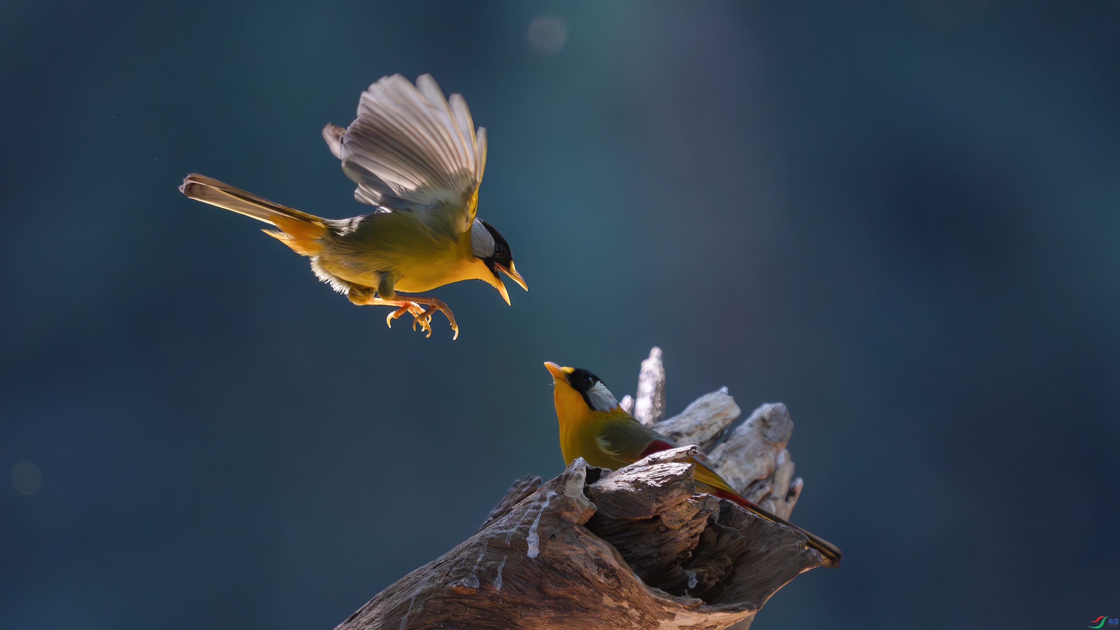 ʢ������  ���� С�׺� ����.jpg