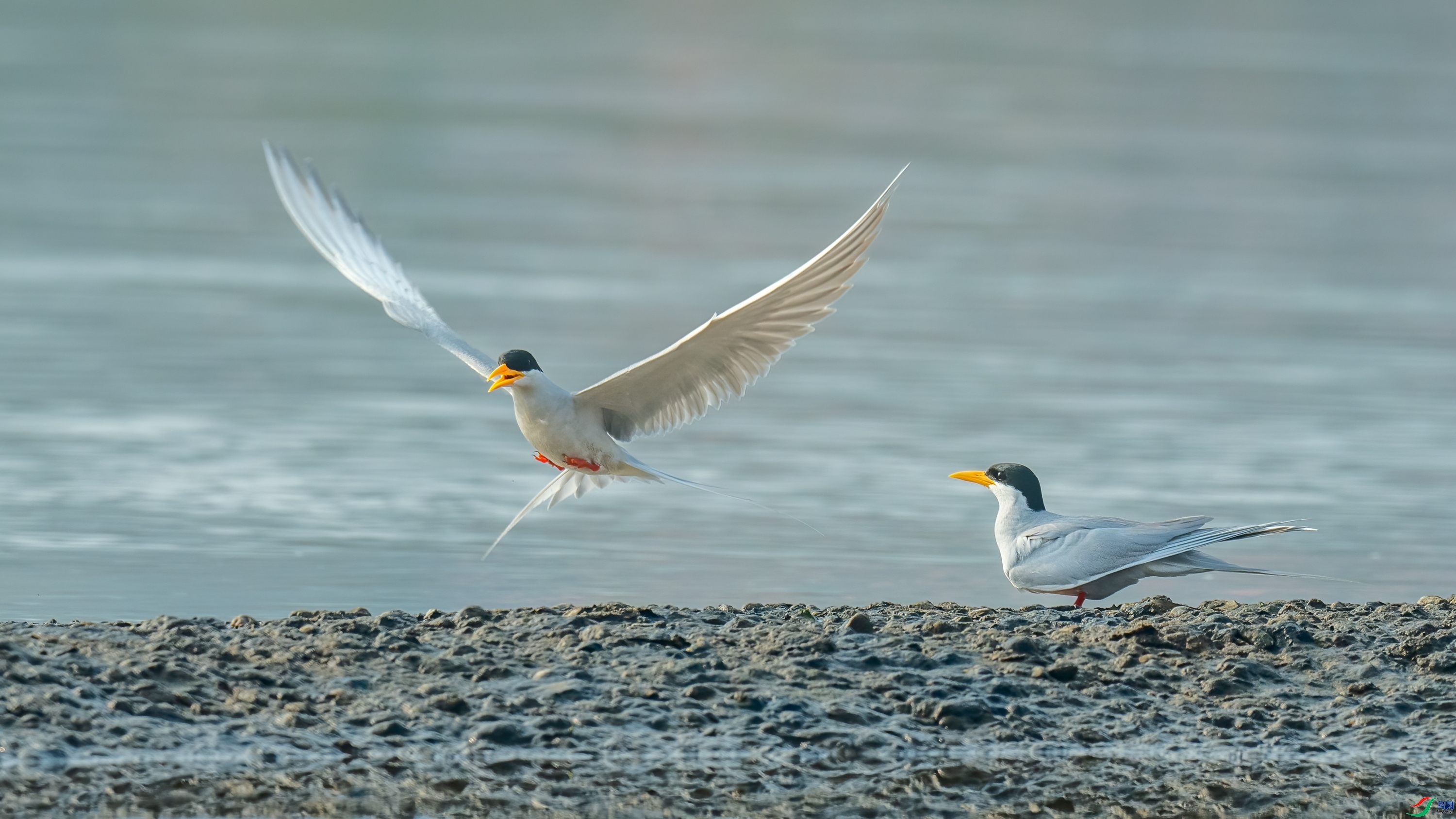 �������Ÿ ���� ���� ����.jpg