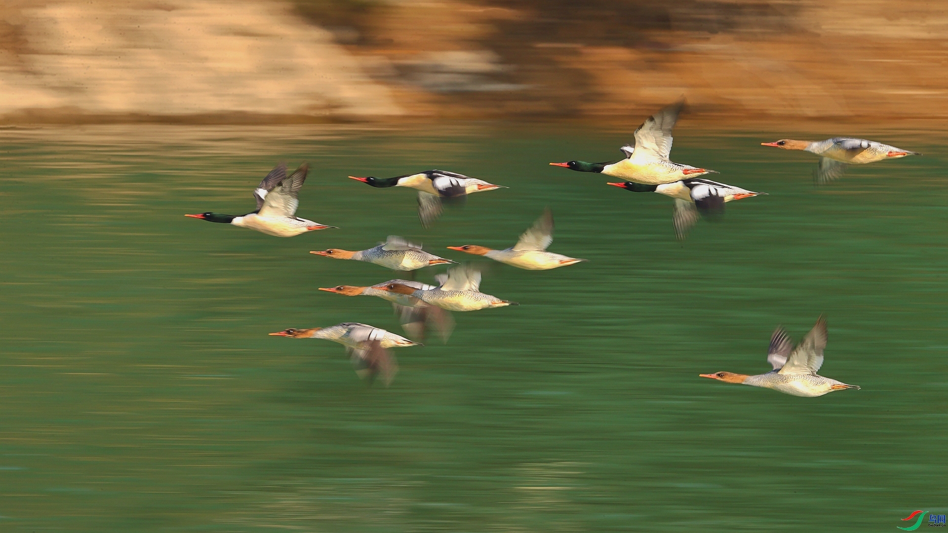 ���ų�� ���� ��Ұ�Ÿ� ����.jpg