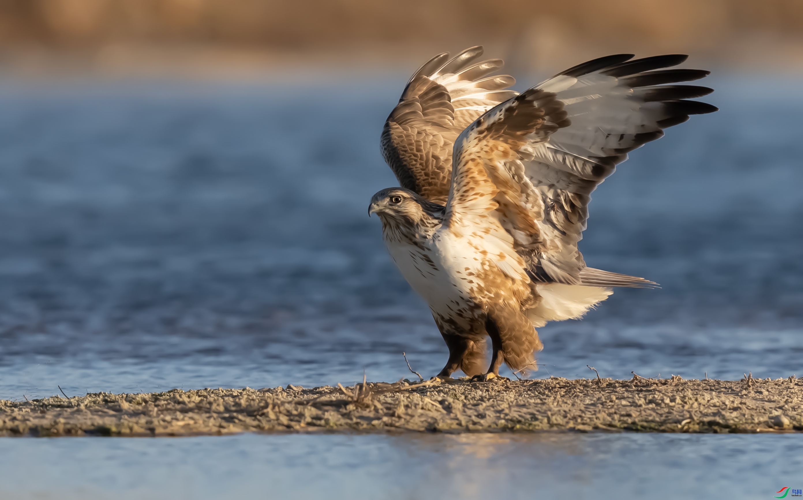 �����м�-ë��