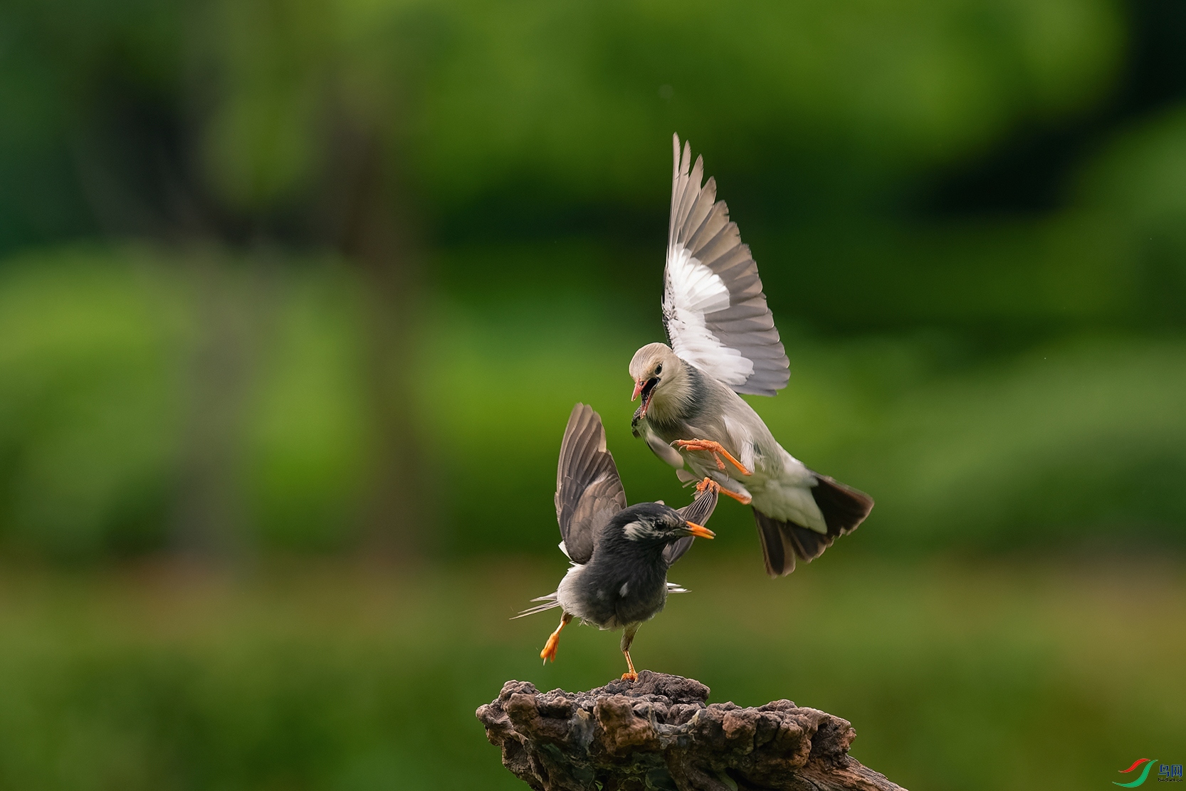 4DSC_5834_DxOa.jpg