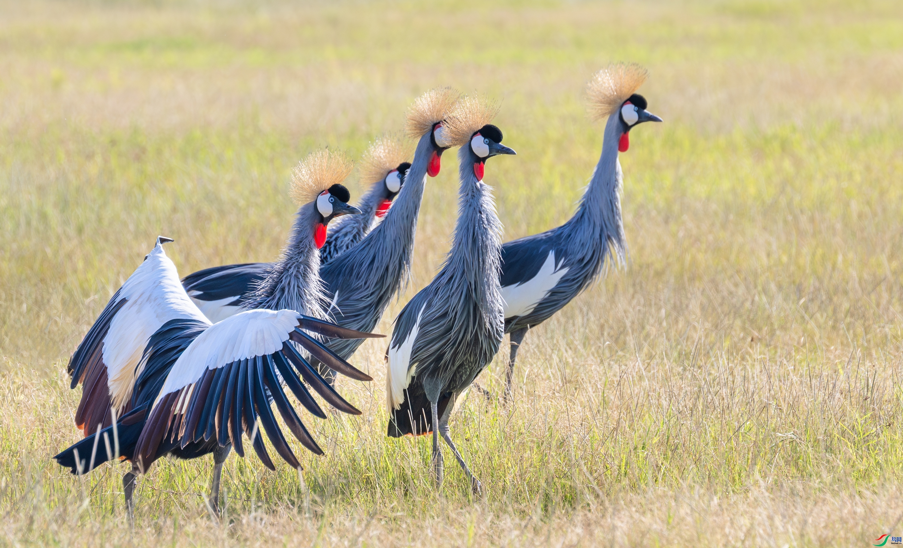 ����� ���� ��Ͽ֮�� ����.jpg