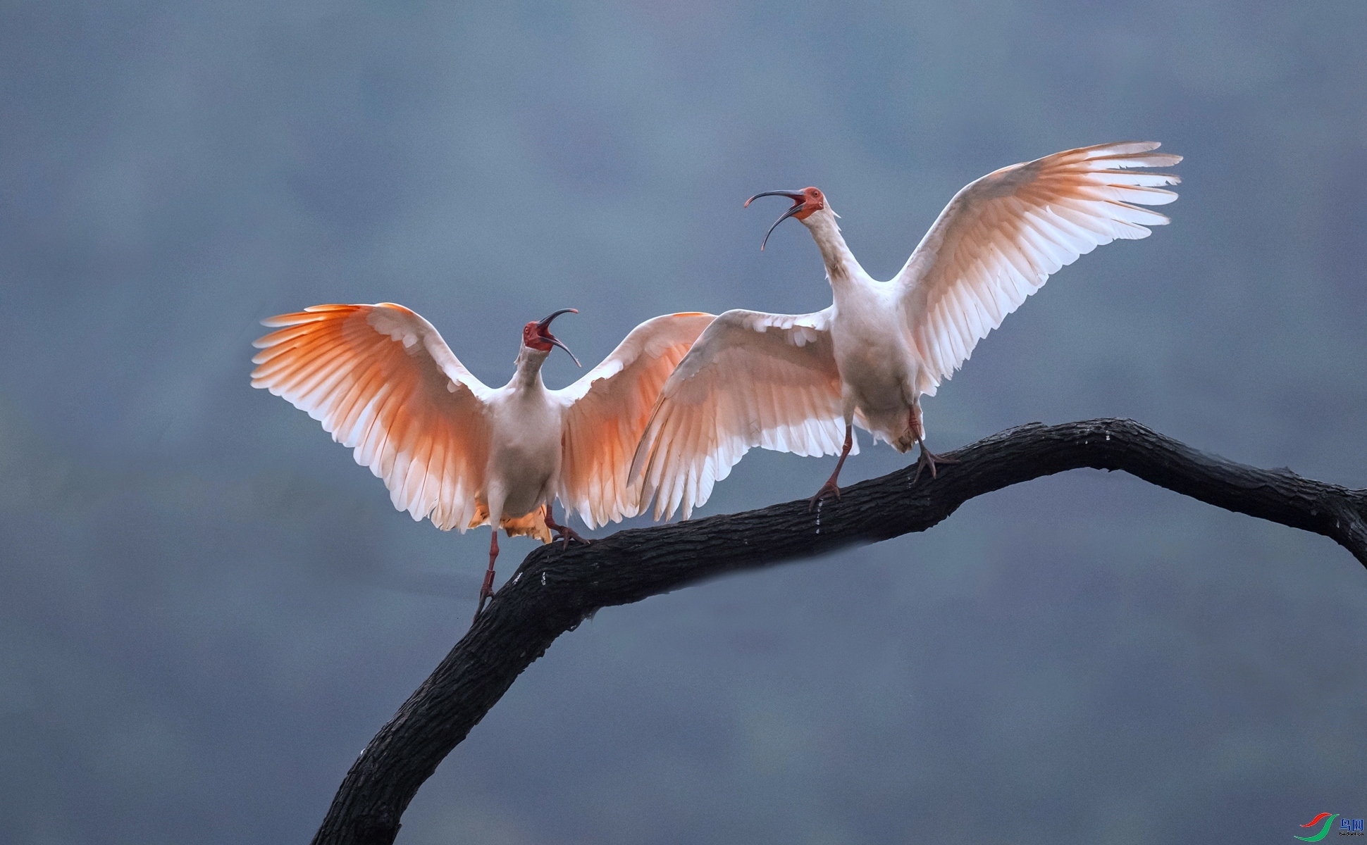 쭸��� ���� ���ޱ� ����.jpg