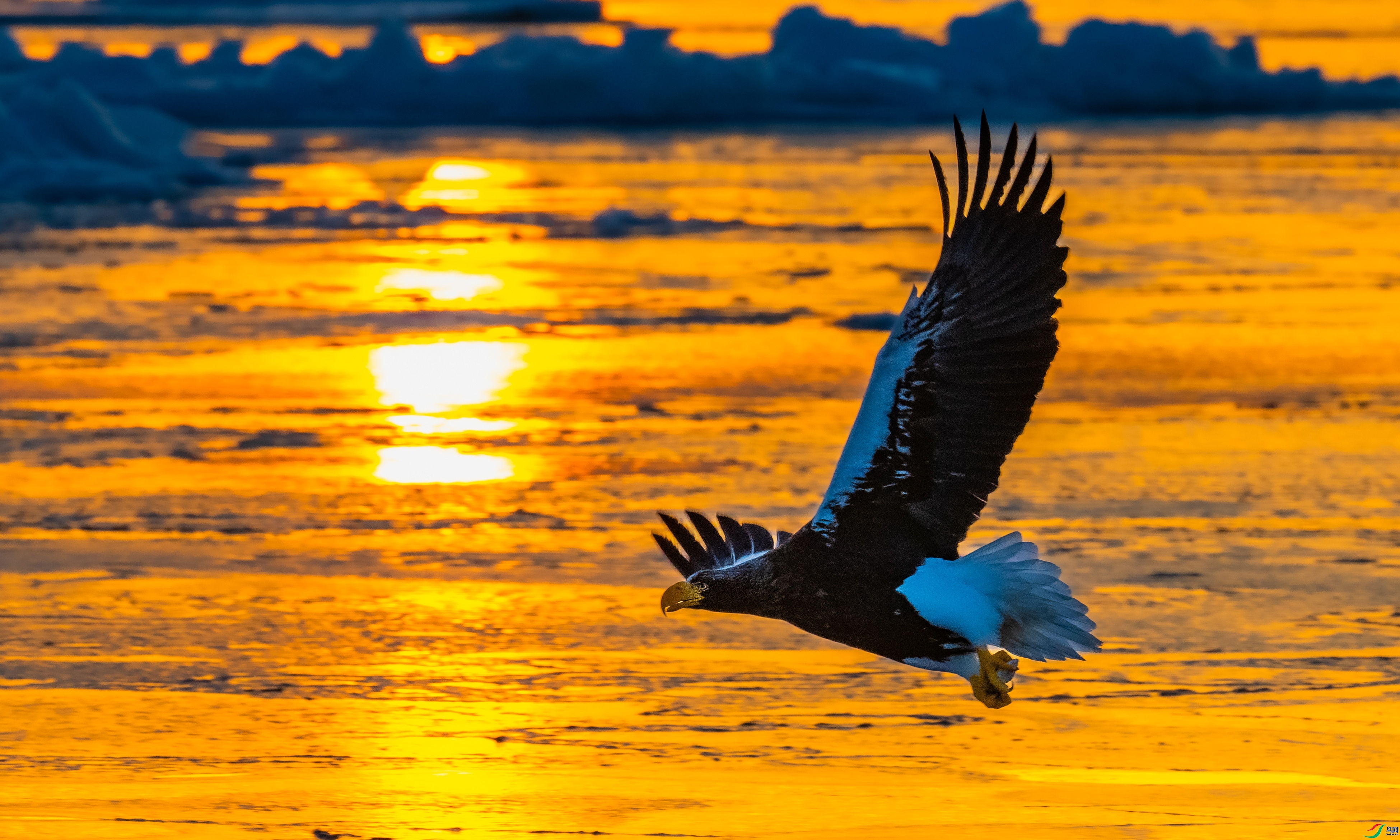 ��ͷ���� ���� ��������bj  ����.jpg