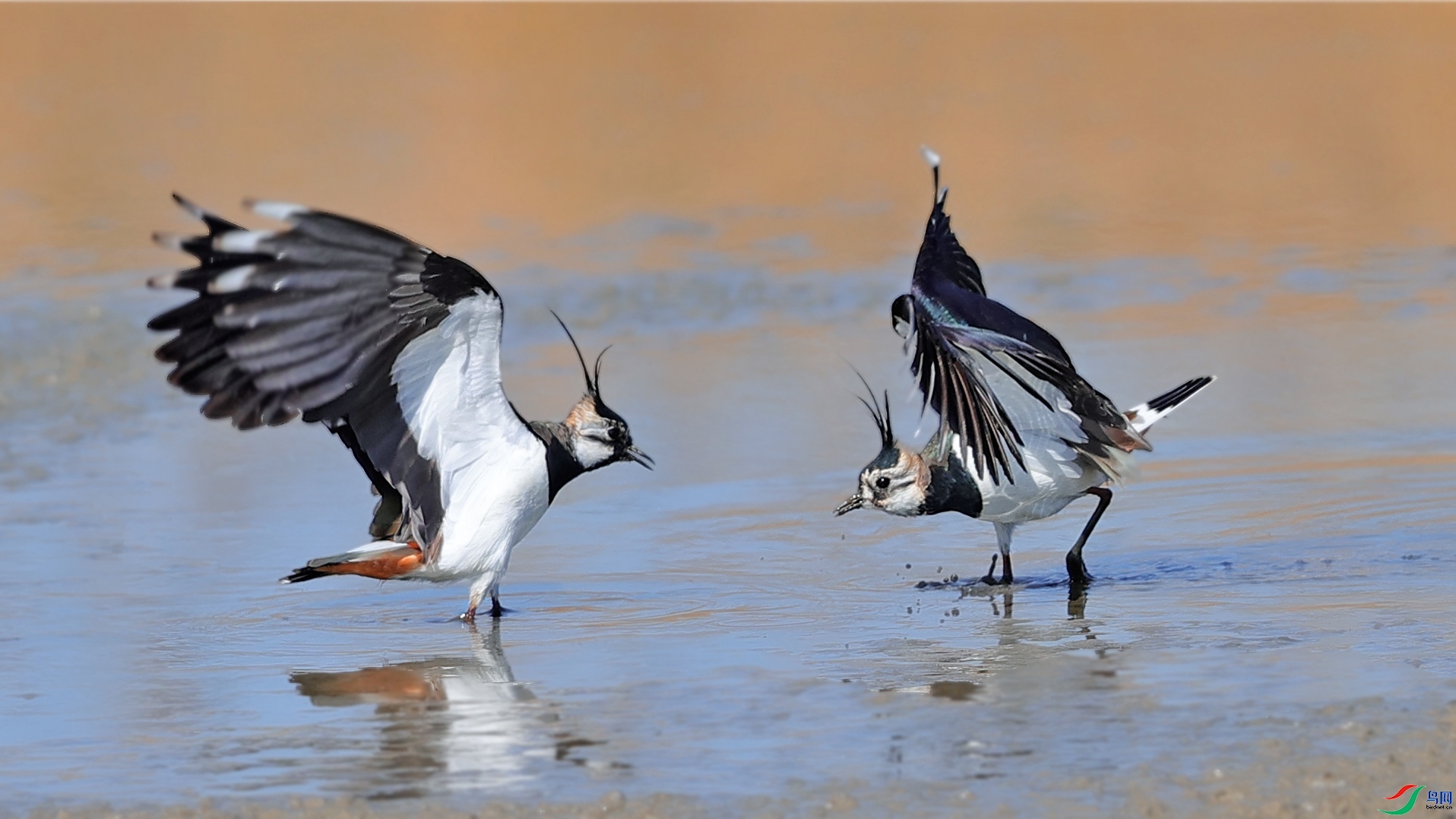 �����ֳ� ���� ���� ����.jpg