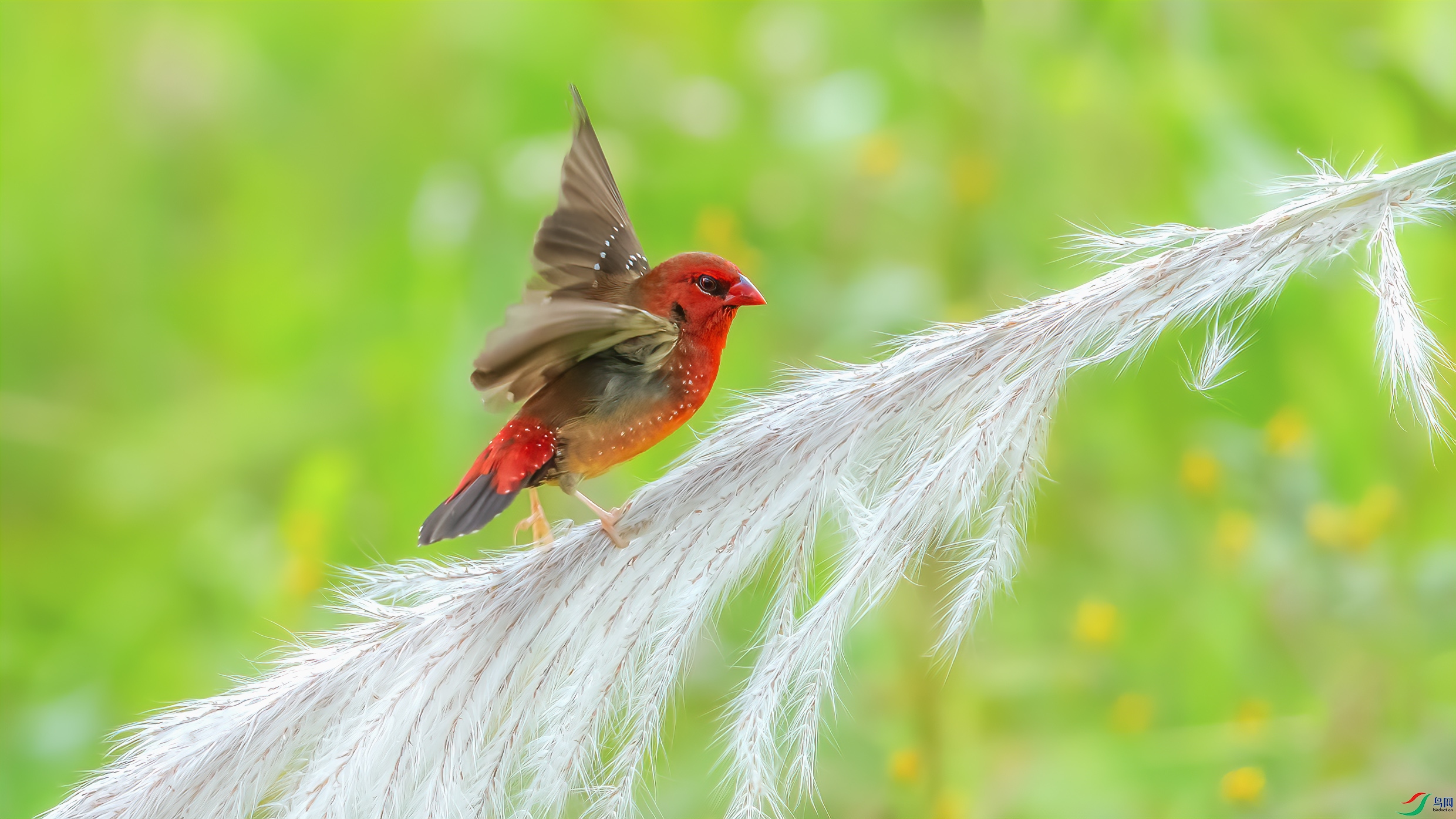 C09R5752 ����.jpg