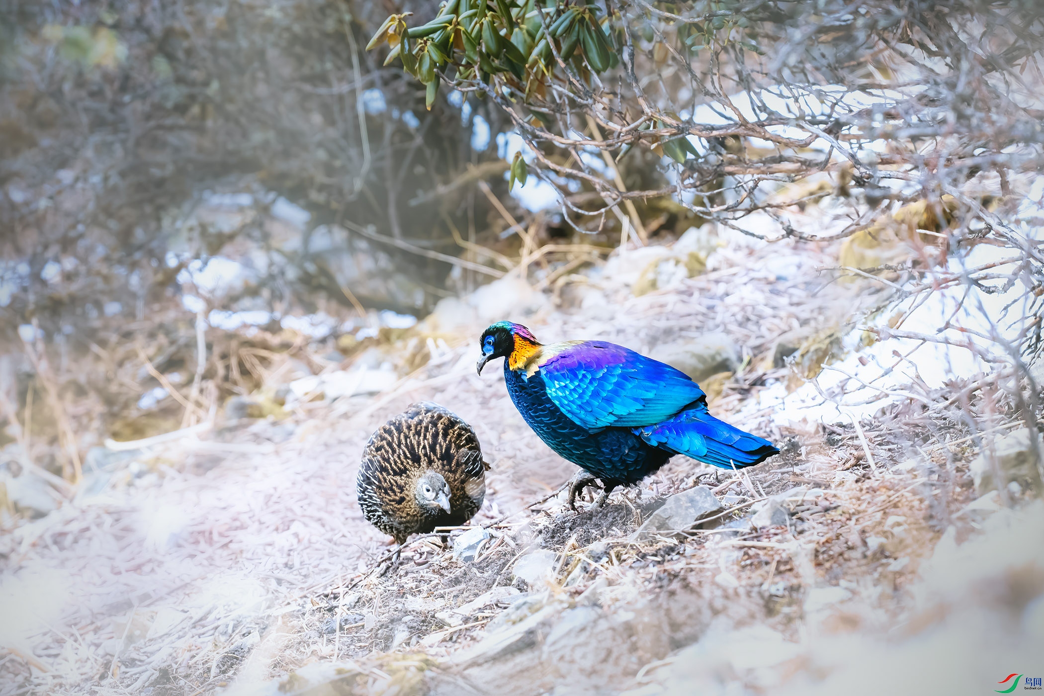 DSC_0865x ���� 2.jpg