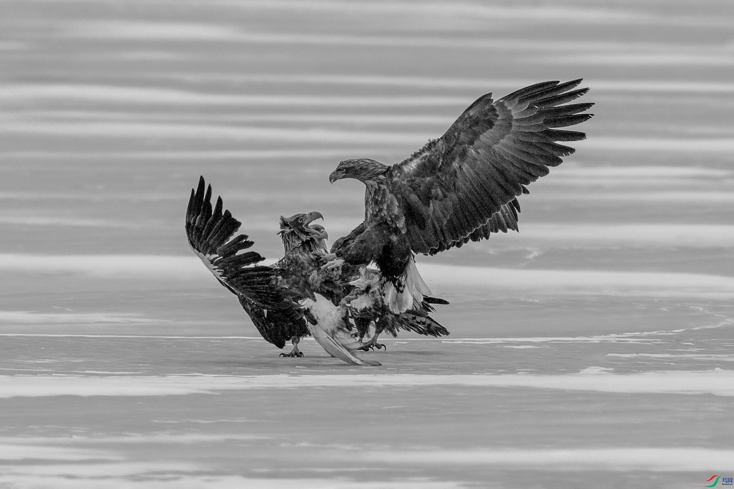 _DSC9355.jpg��ͷ���β����25-02-17A.jpg