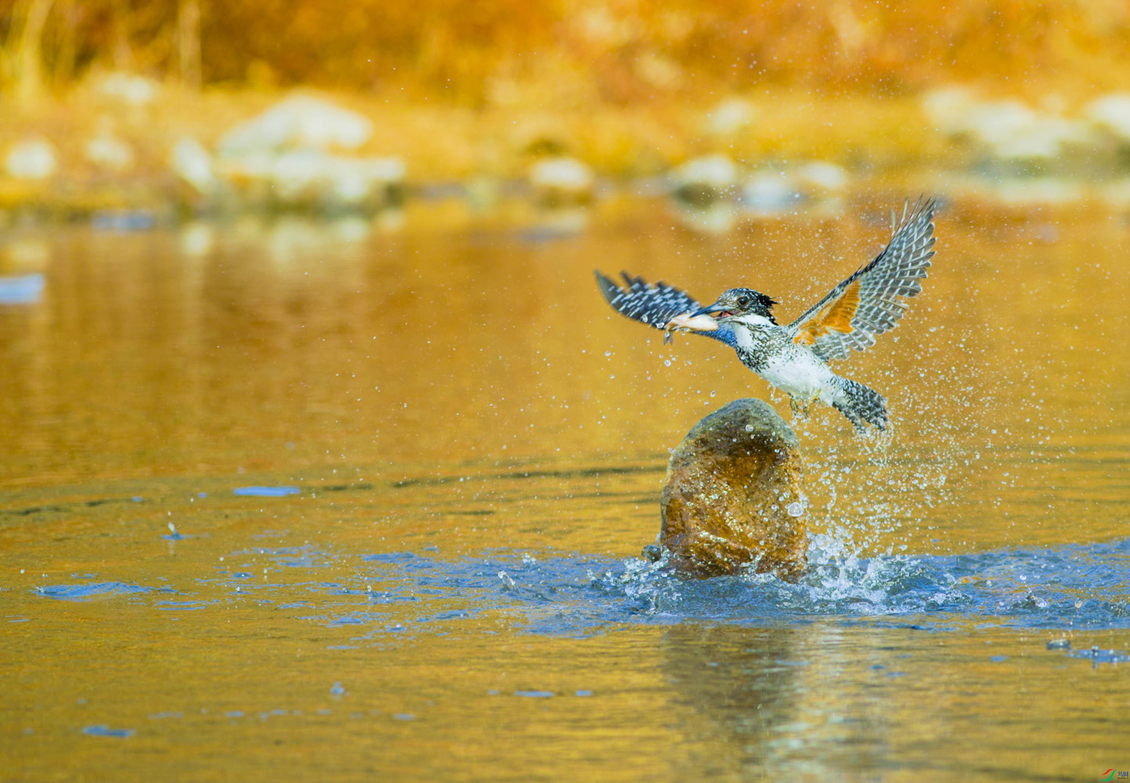 _DSC_0112.jpg
