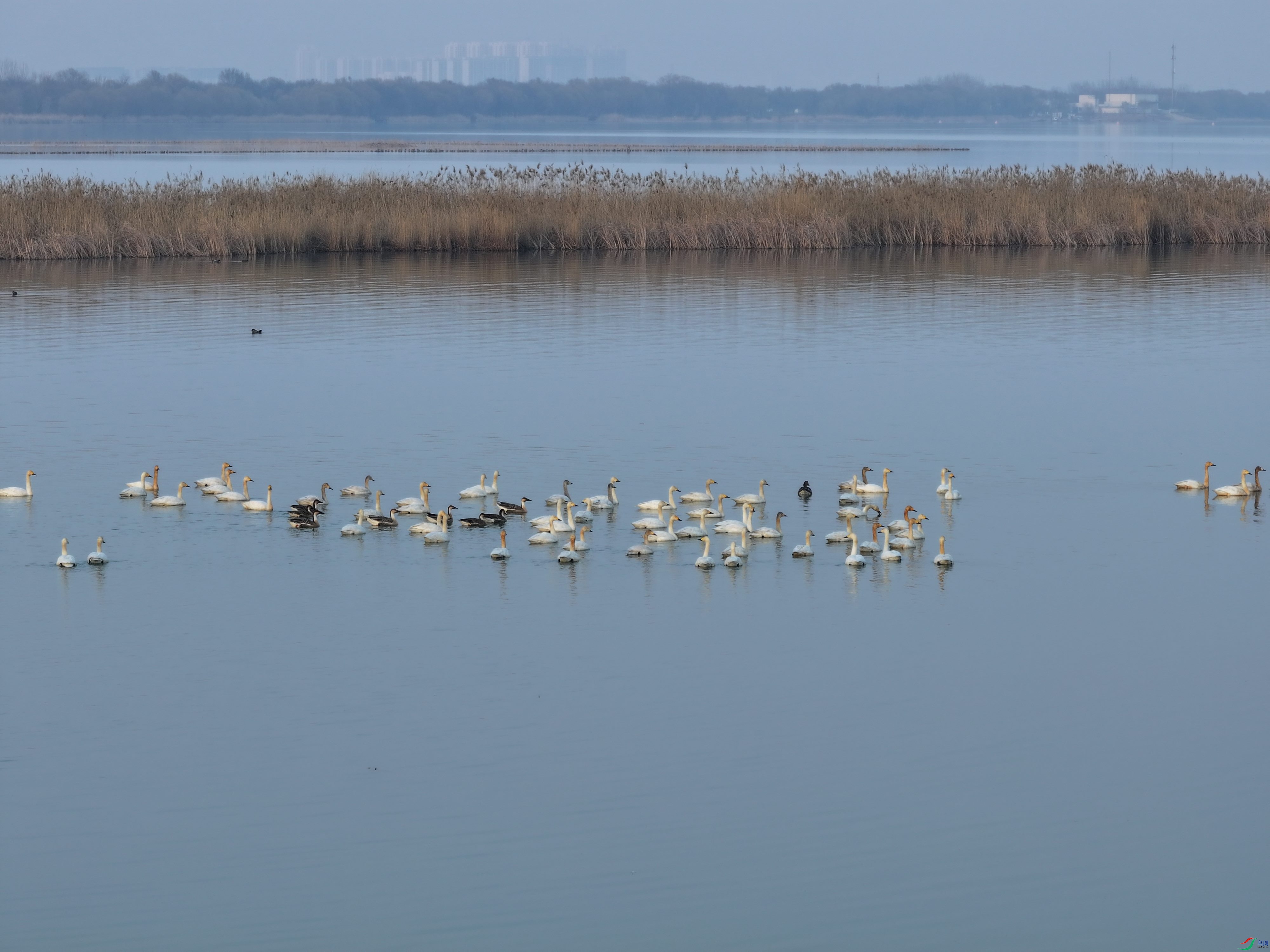 С���ͺ���