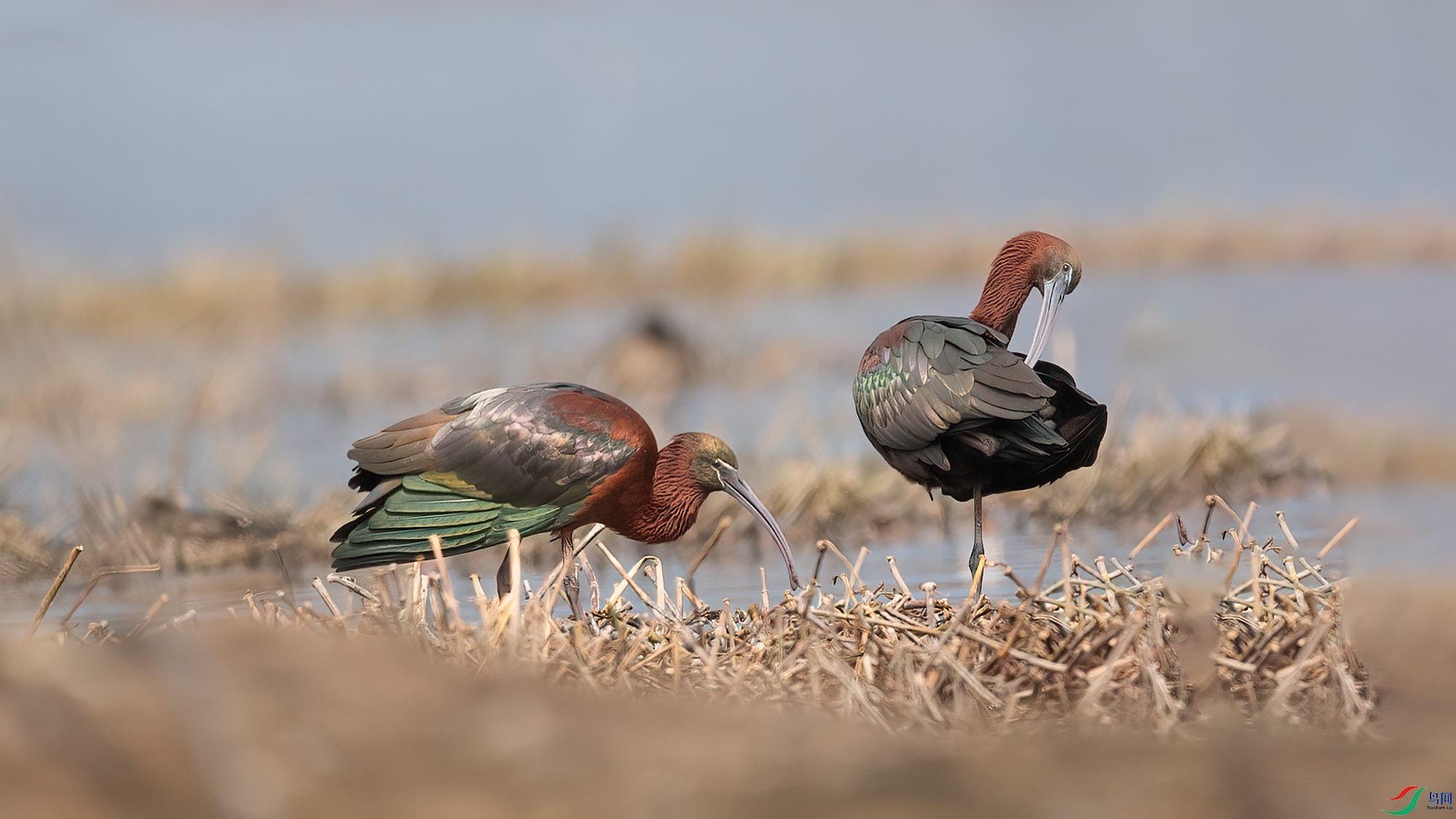 048A1754 ����.jpg