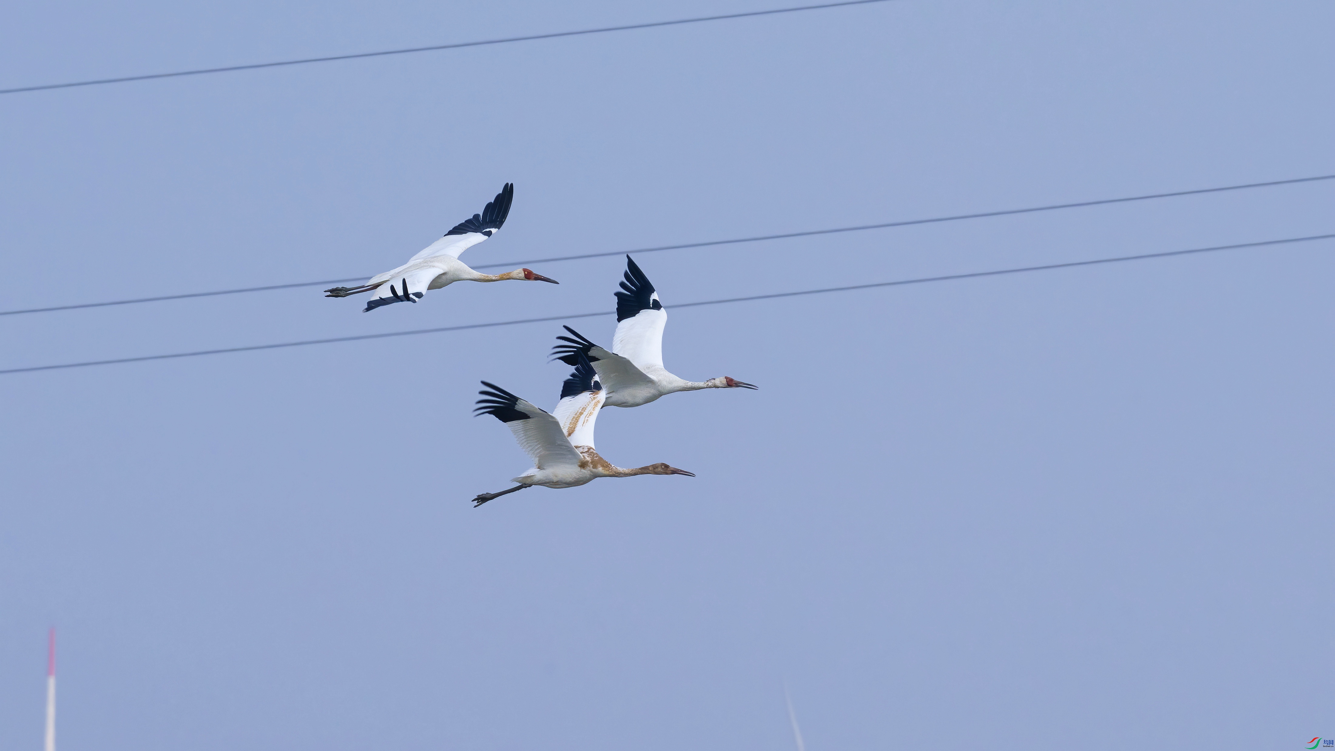 DSC_8216.jpg