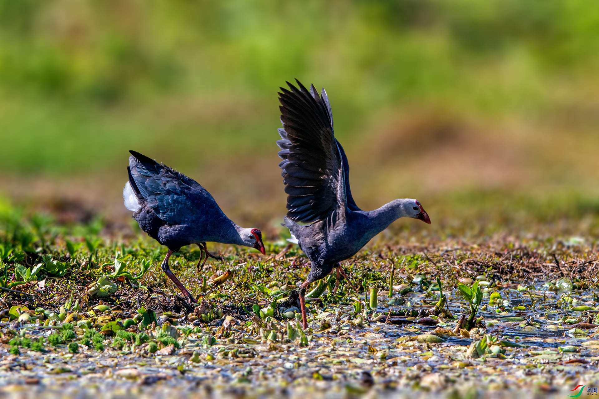 _AUU6164����(24.2.19).jpg