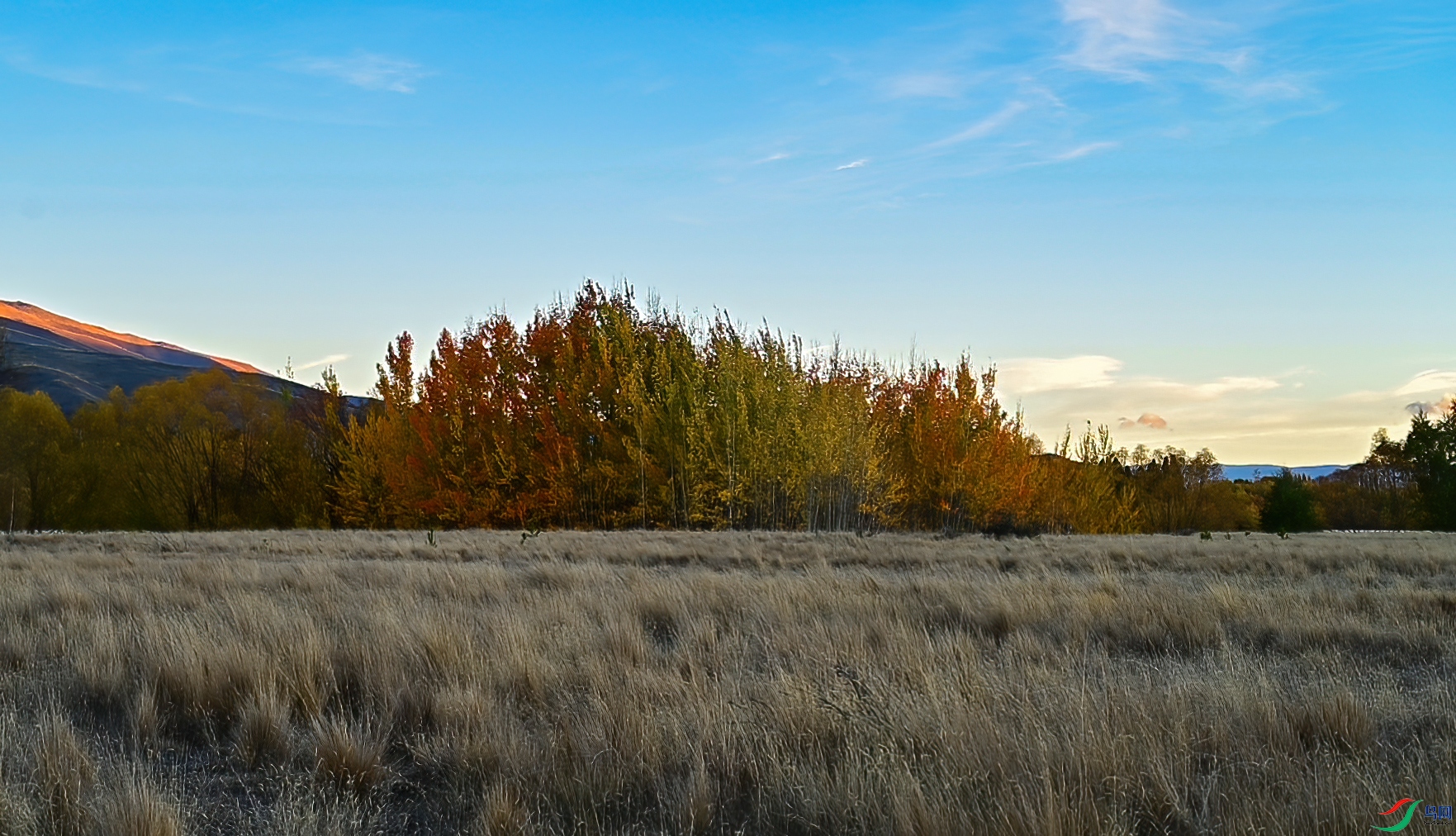 DSC_7647.jpg