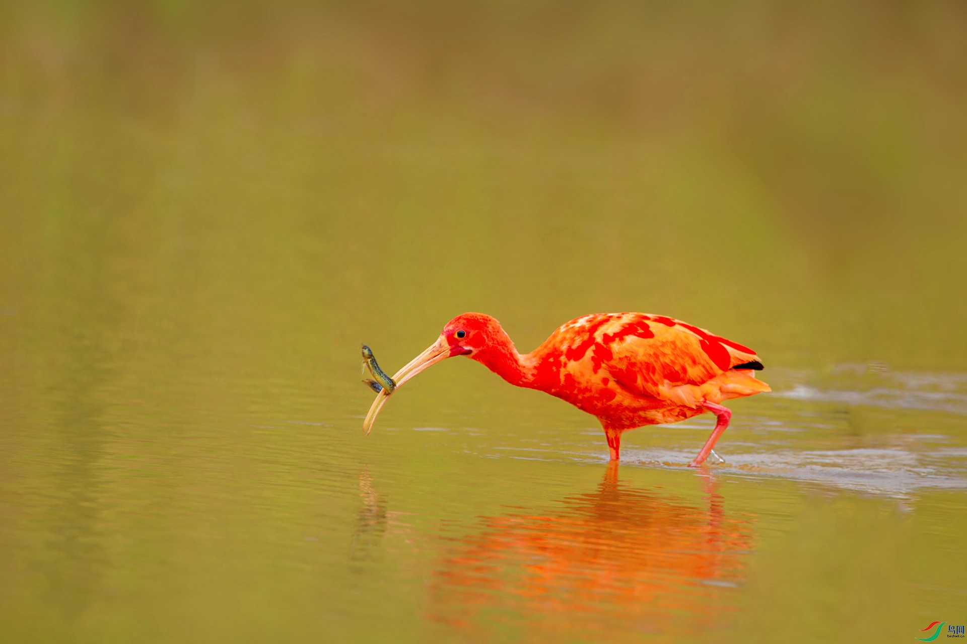 DSC_3156-1.jpg