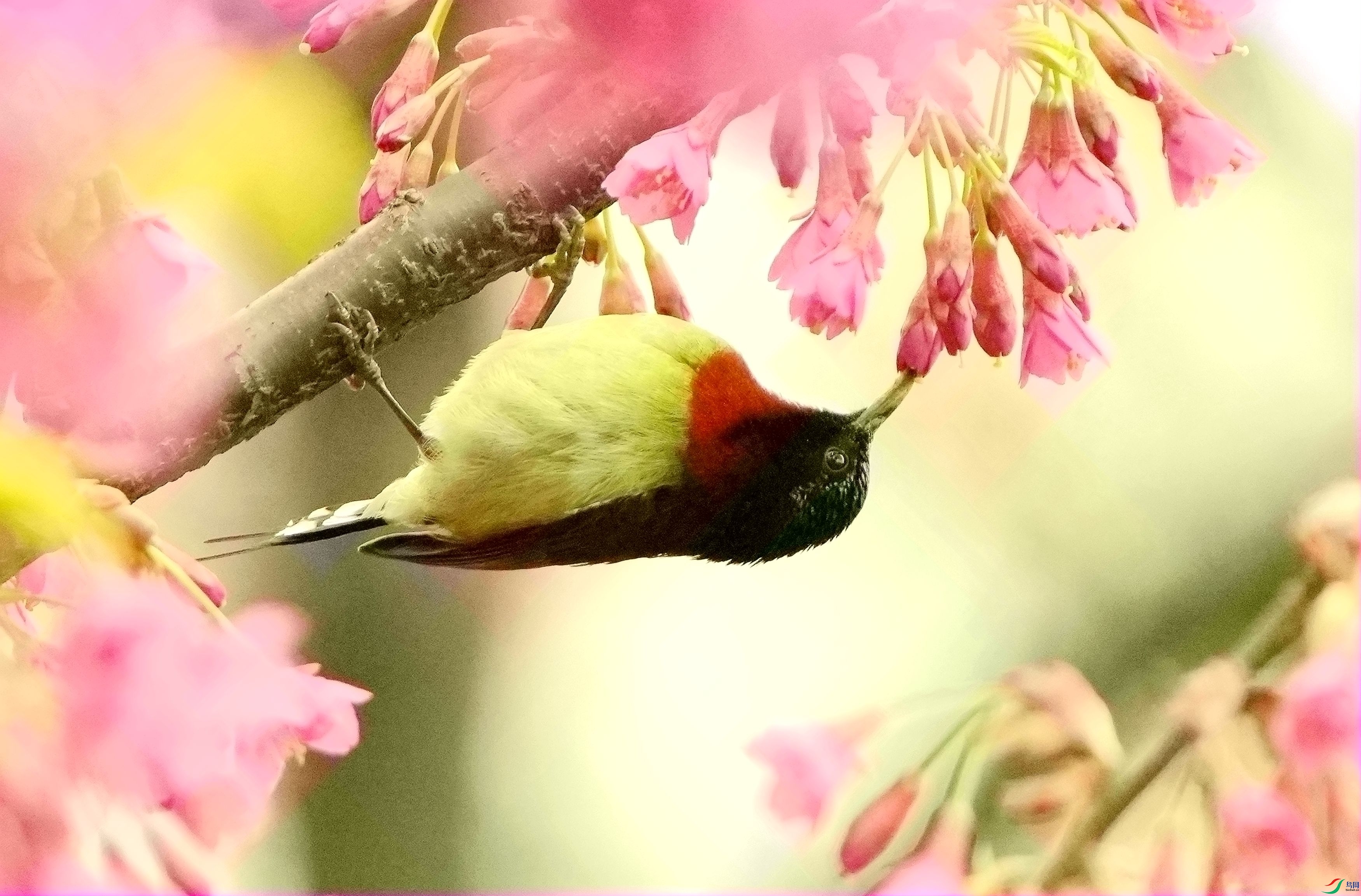 ����������DSC05167_����.jpg