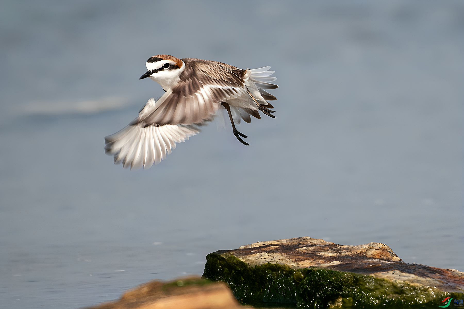 DSC_4954=.jpg