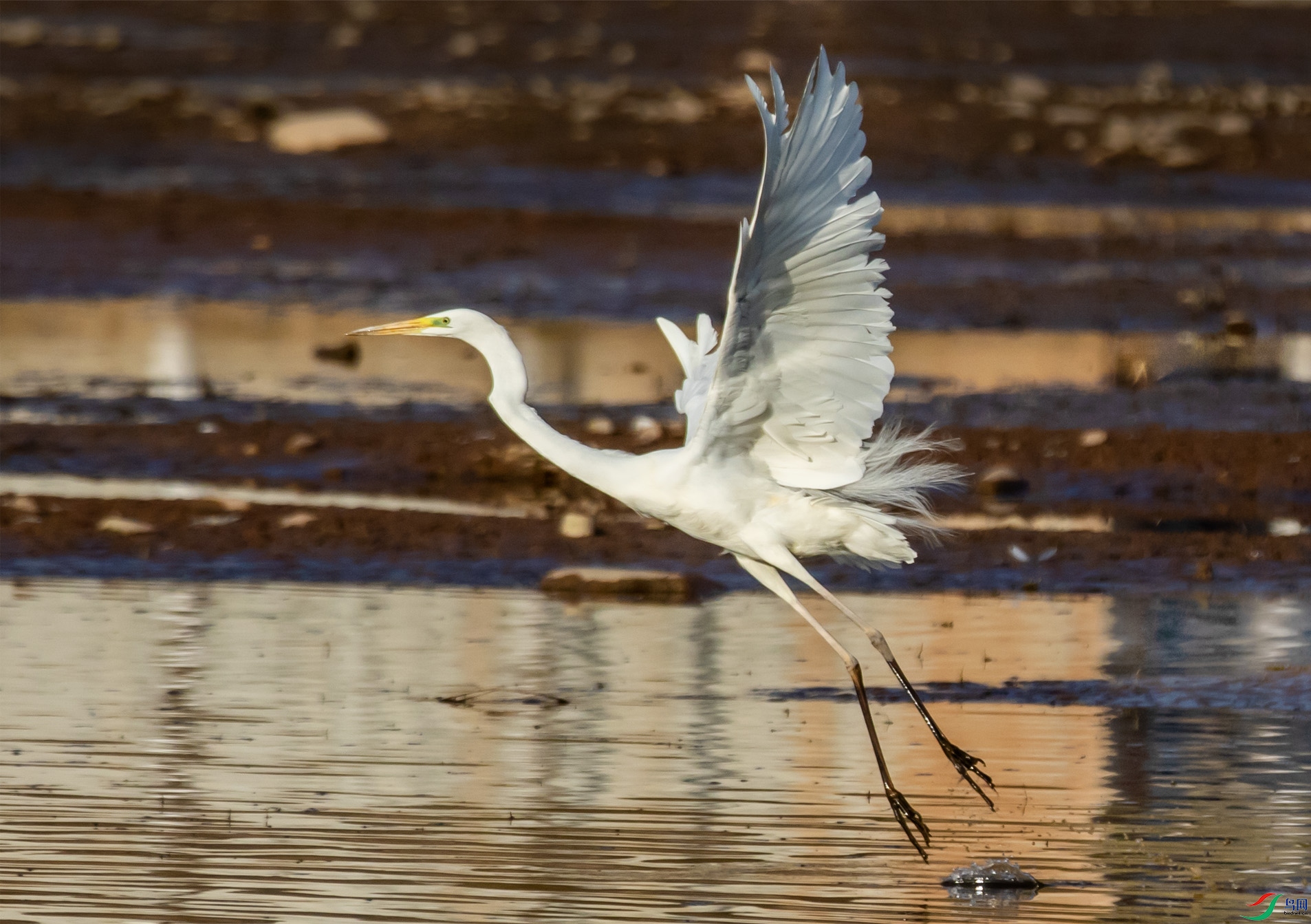 �����31 ����.jpg