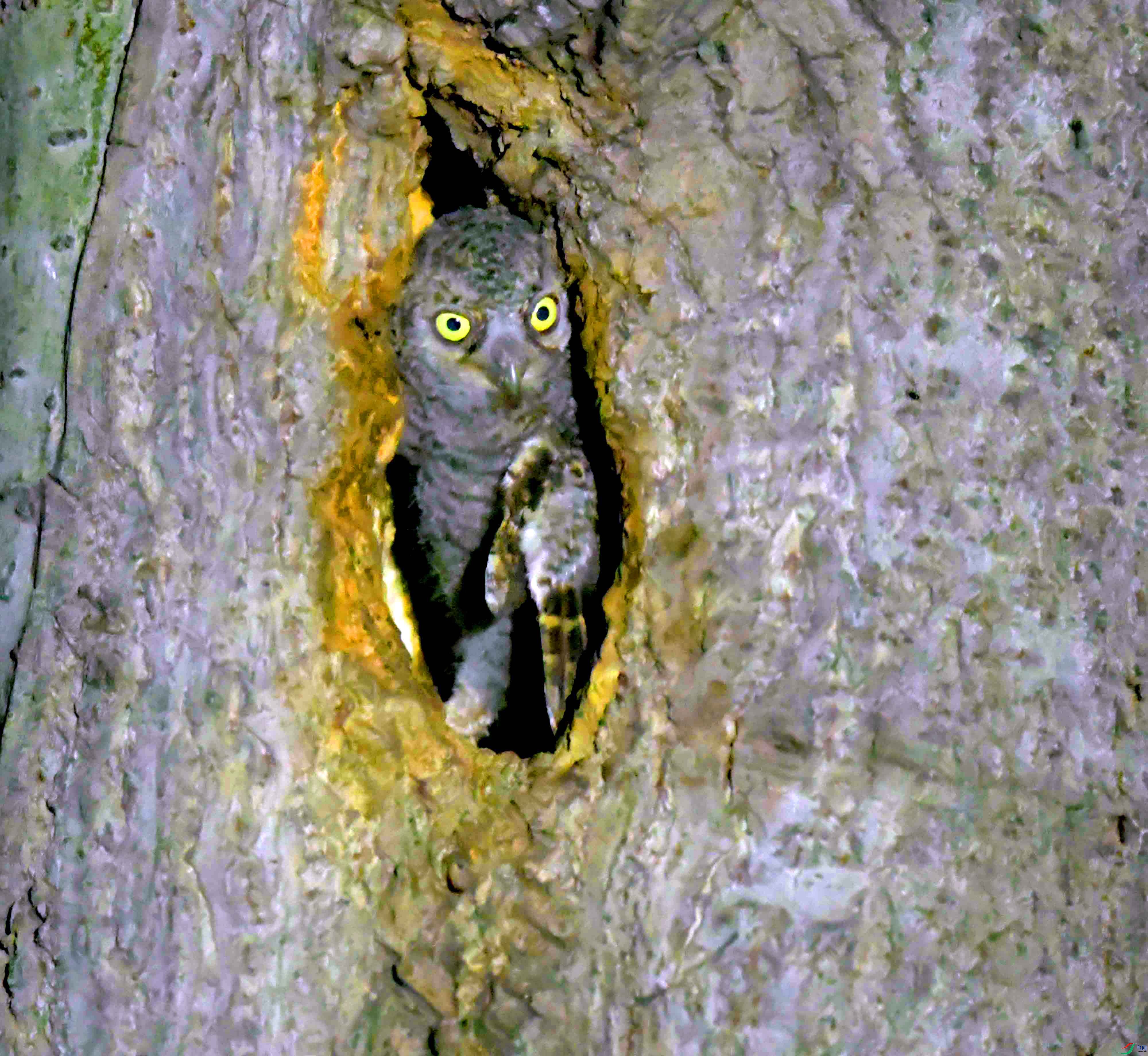 DSC_1614.JPG