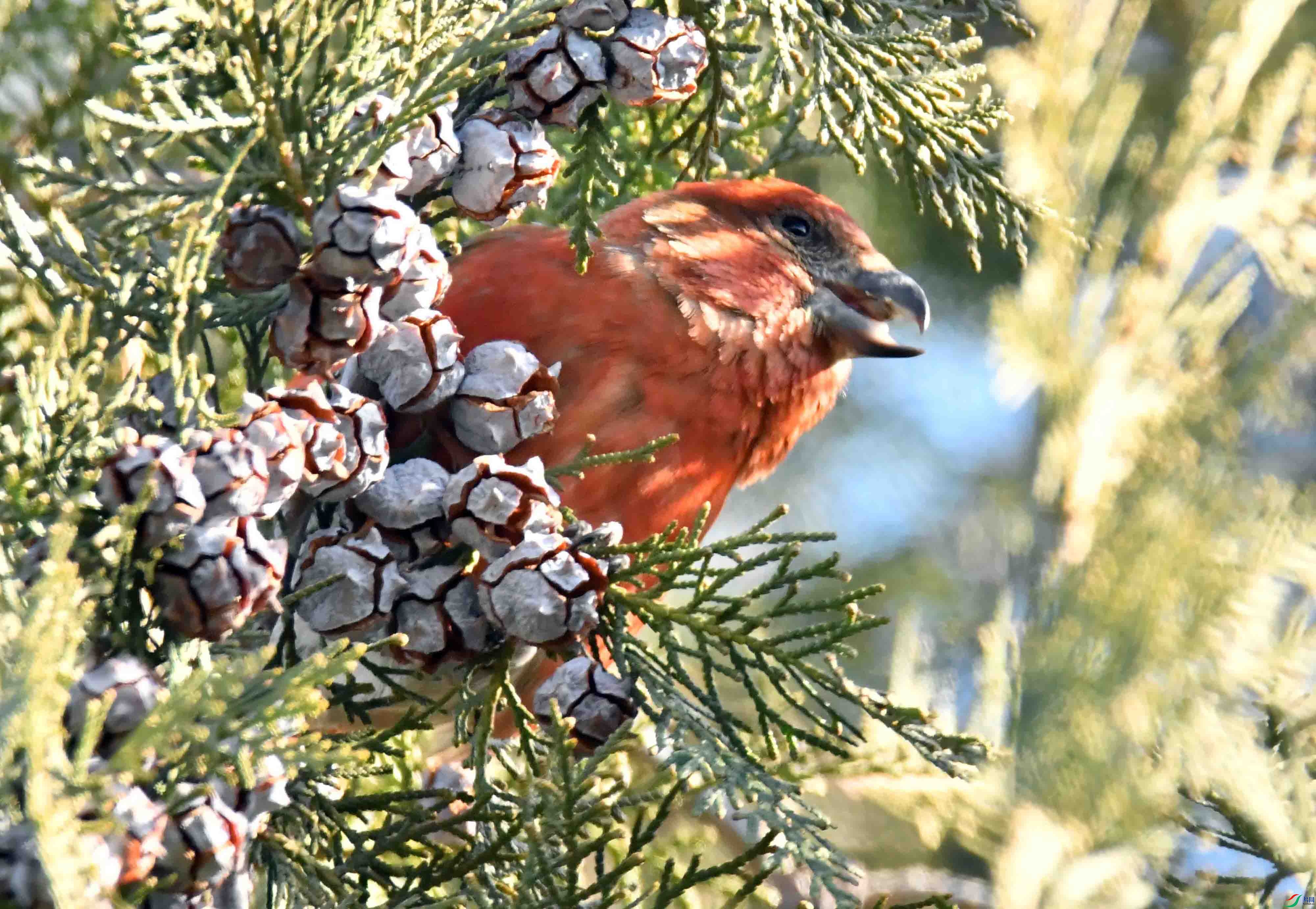 DSC_6865.JPG