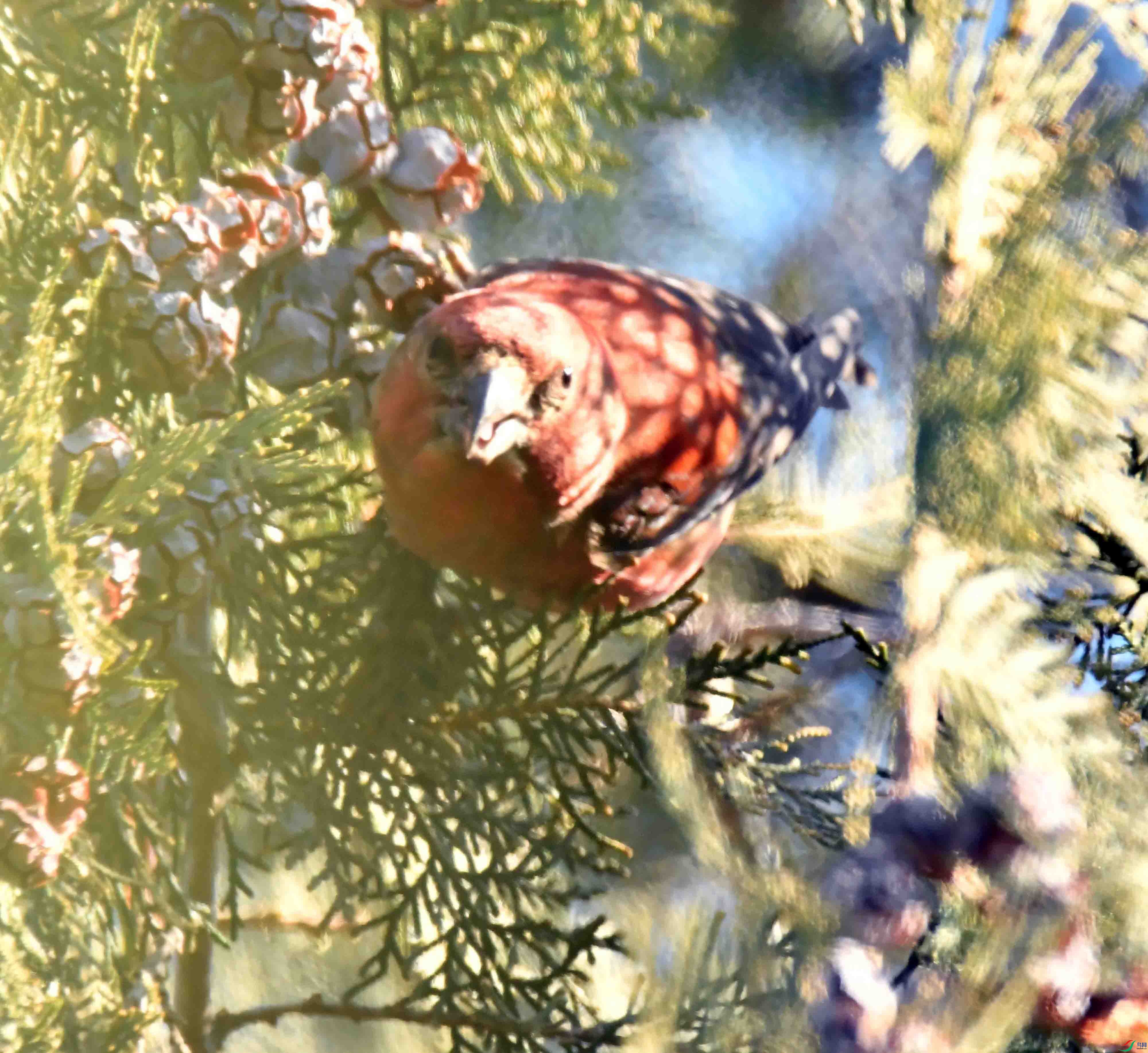 DSC_6918.JPG