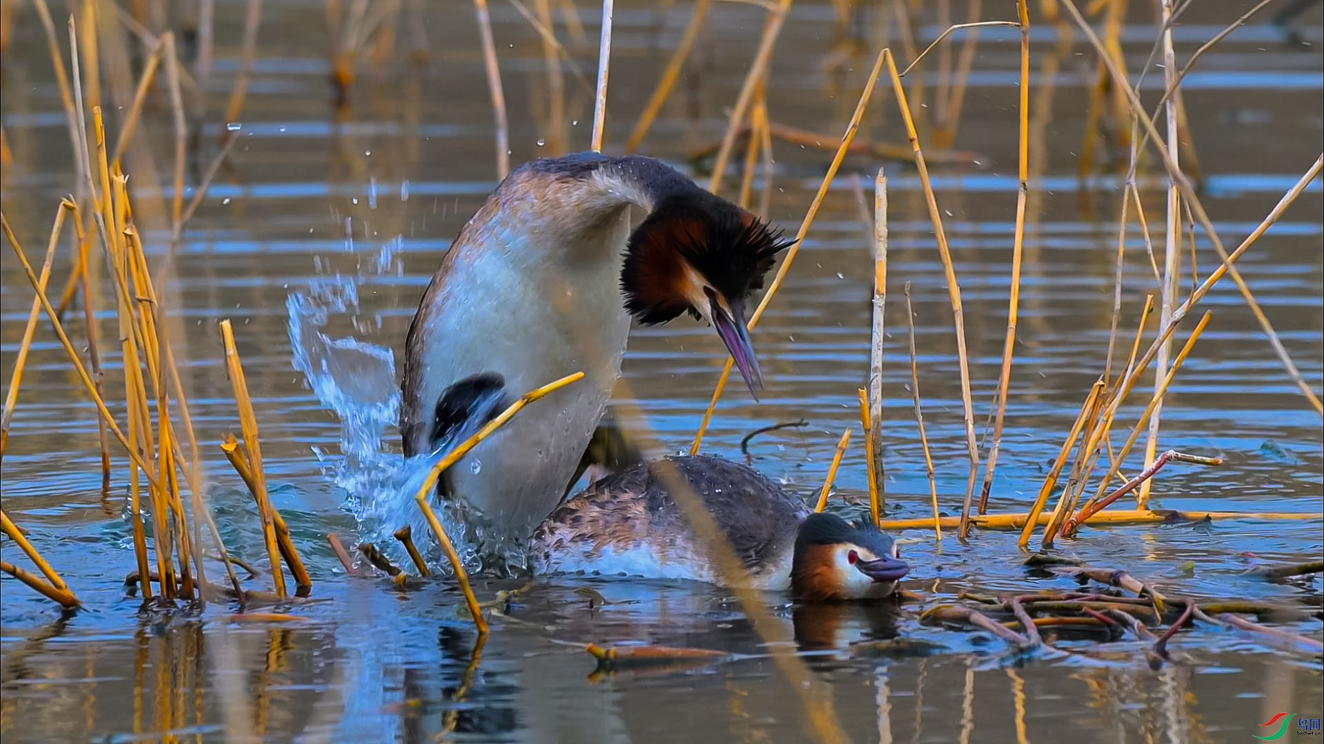 ��ͷ���f�Ĵ���-���� ����.jpg