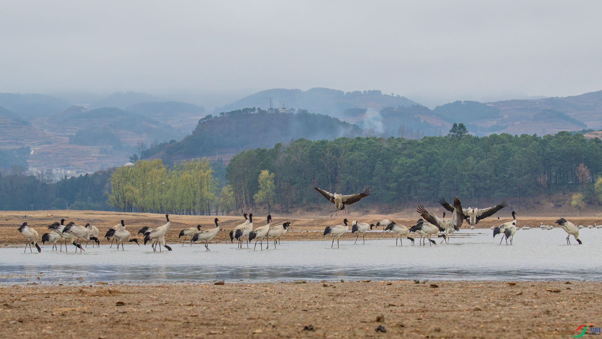 _00A3583-CR2_DxO_DeepPRIMEXD-1.jpg