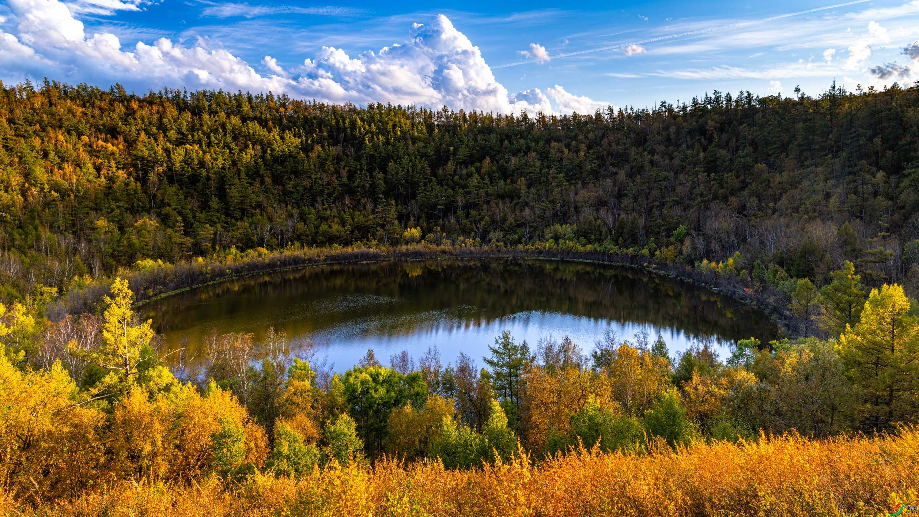 �������