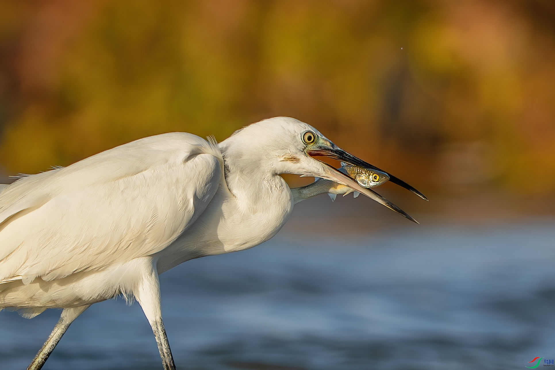 _DSC4540-����ǿ-NR ����С.jpg