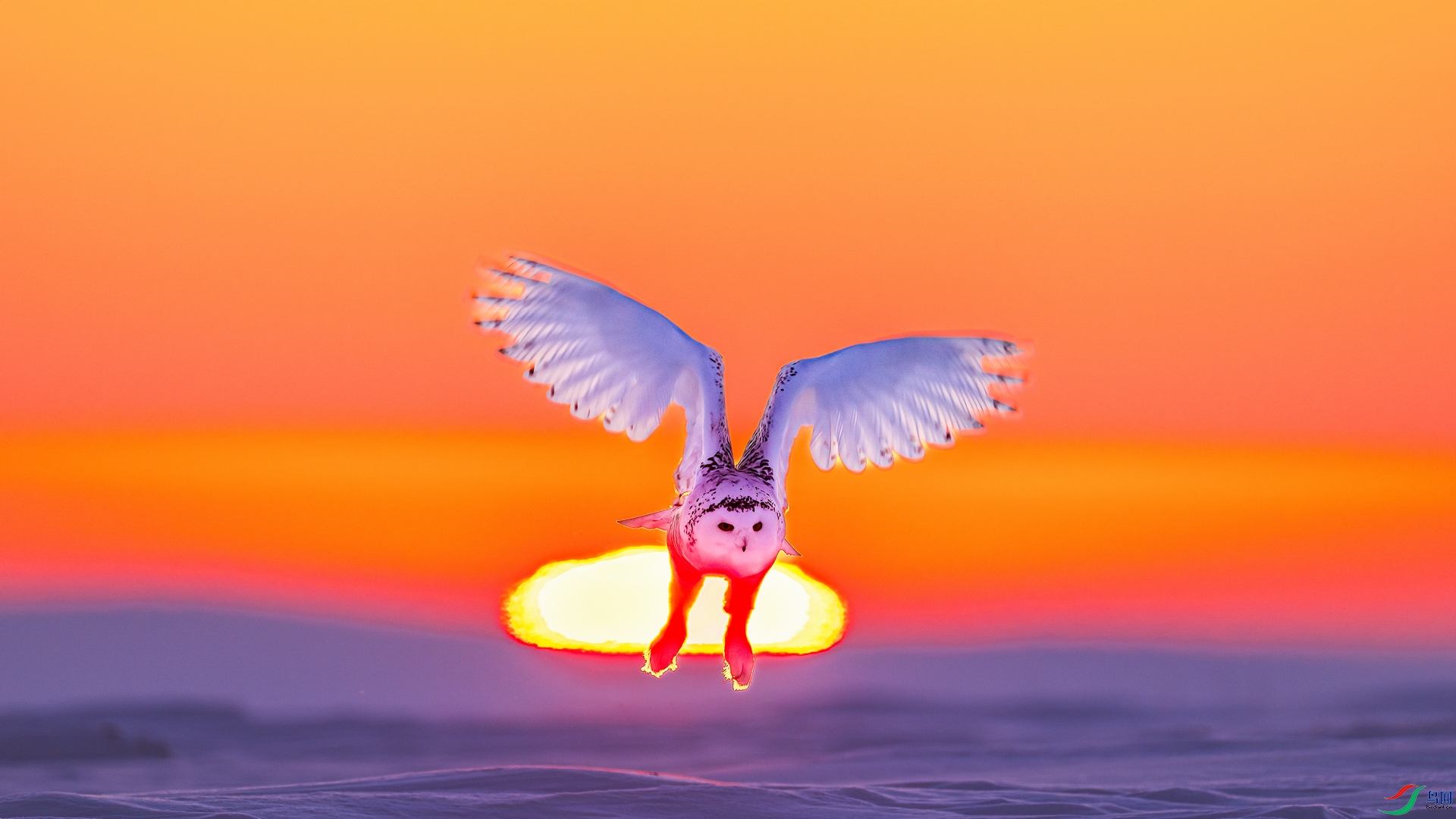 DSC_7094-����ǿ-NR ���� 201.jpg