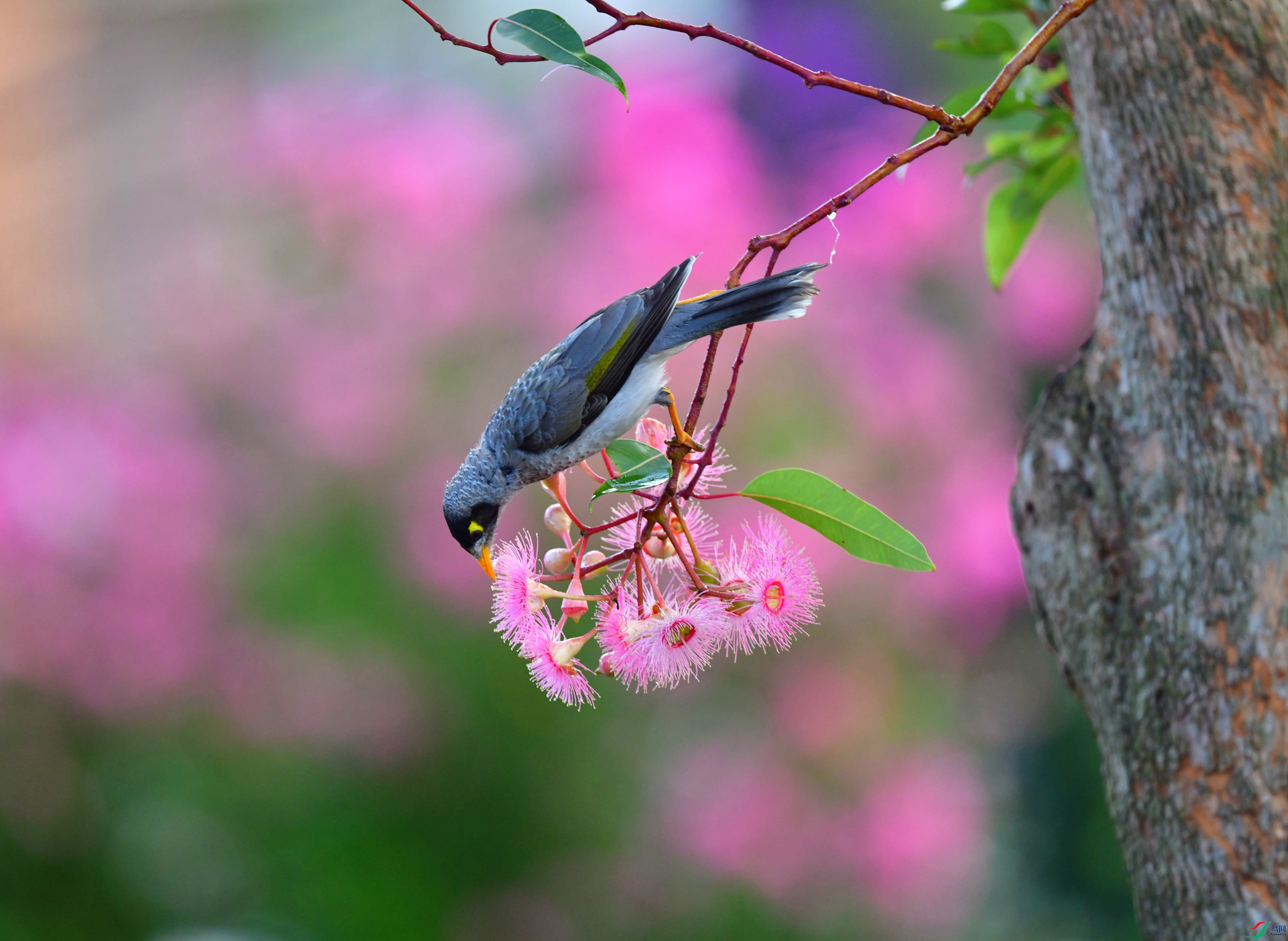 DSC_8098_��ͼ��_����.jpg