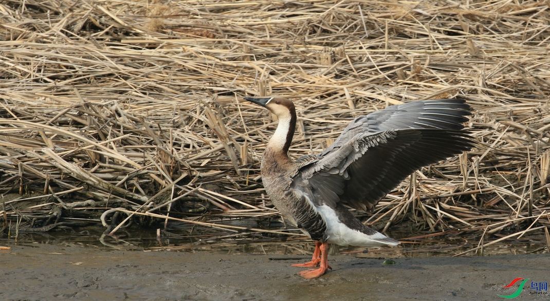 DSC20250309120.jpg