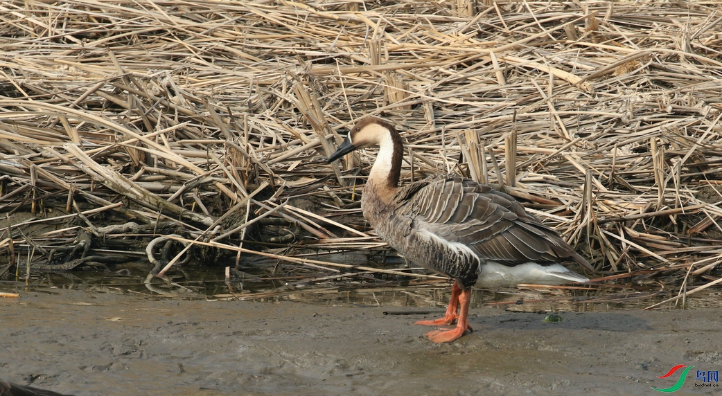 DSC20250309125.jpg