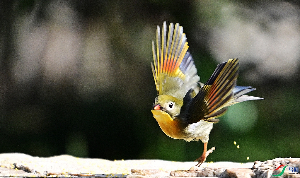 DSC_0156.JPG