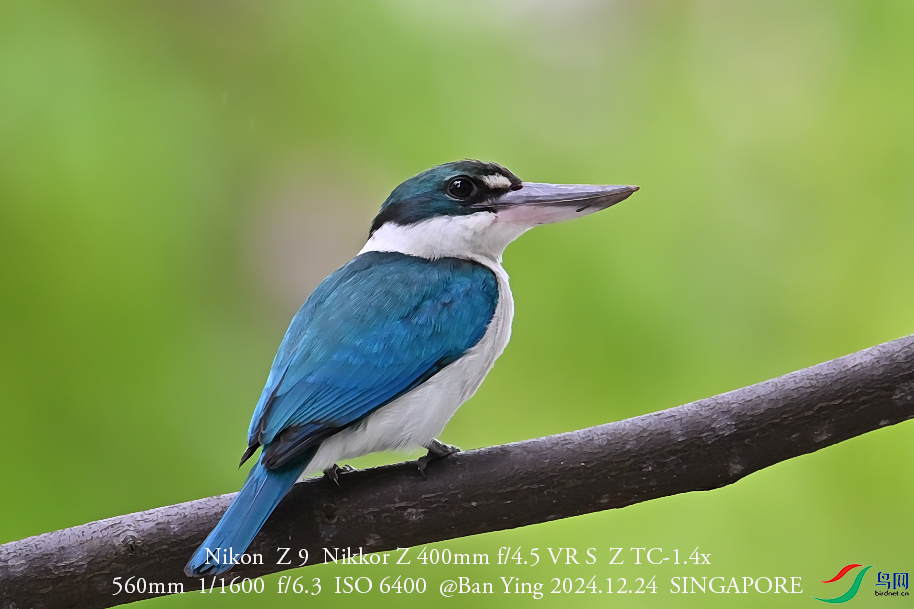 ����2025-01-03 ����5.49.01.png